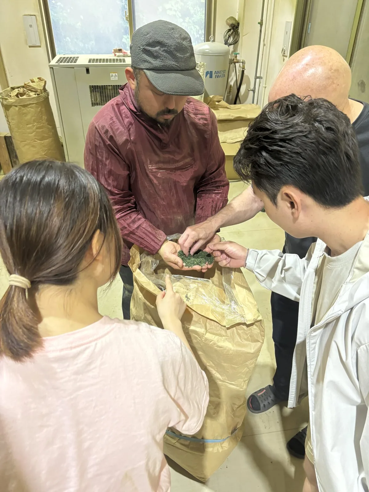 A producer shows freshly dried tencha from a paper sack to visiting cafe owners.