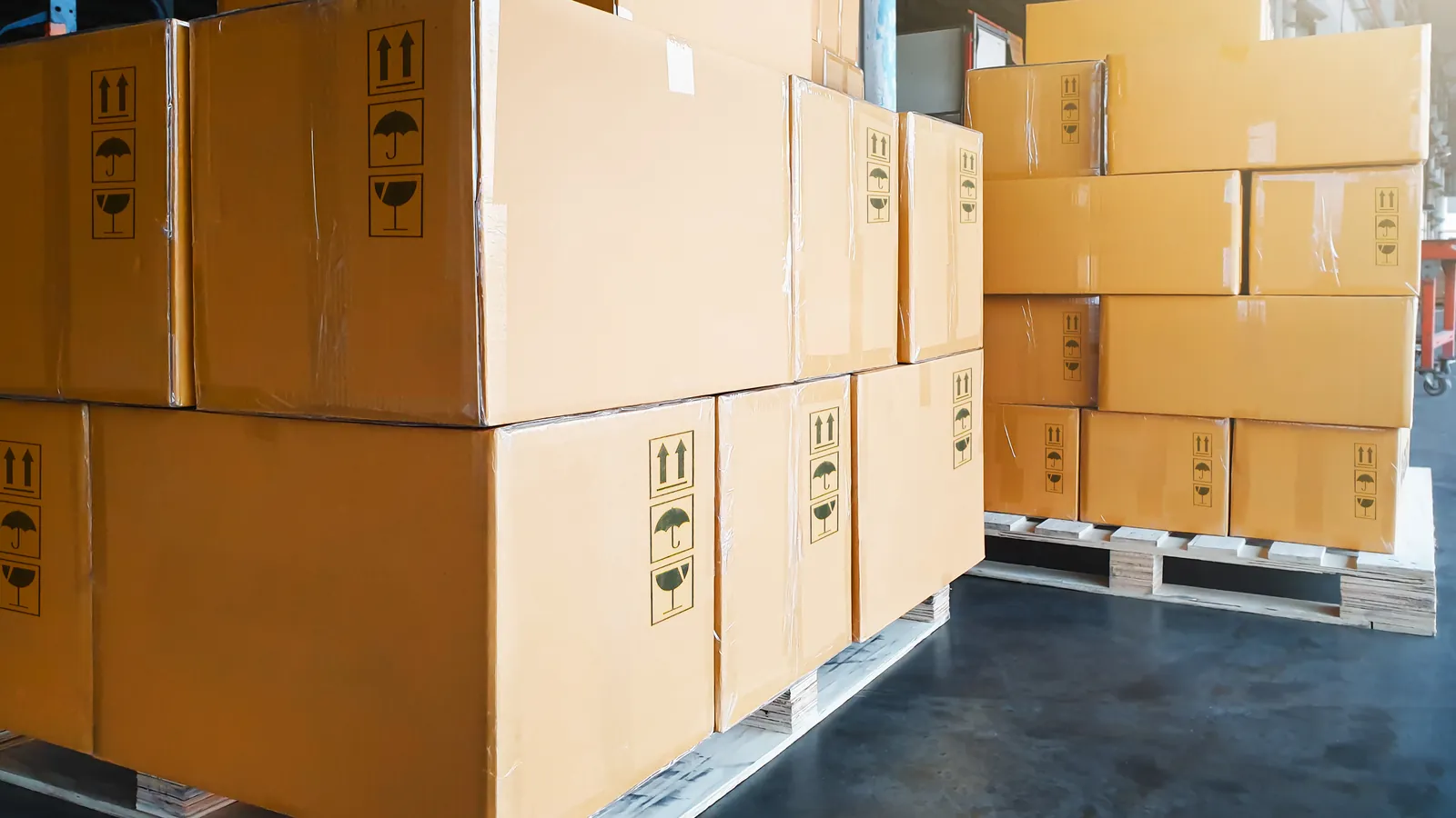 Labelled cartons stacked on pallets in a warehouse