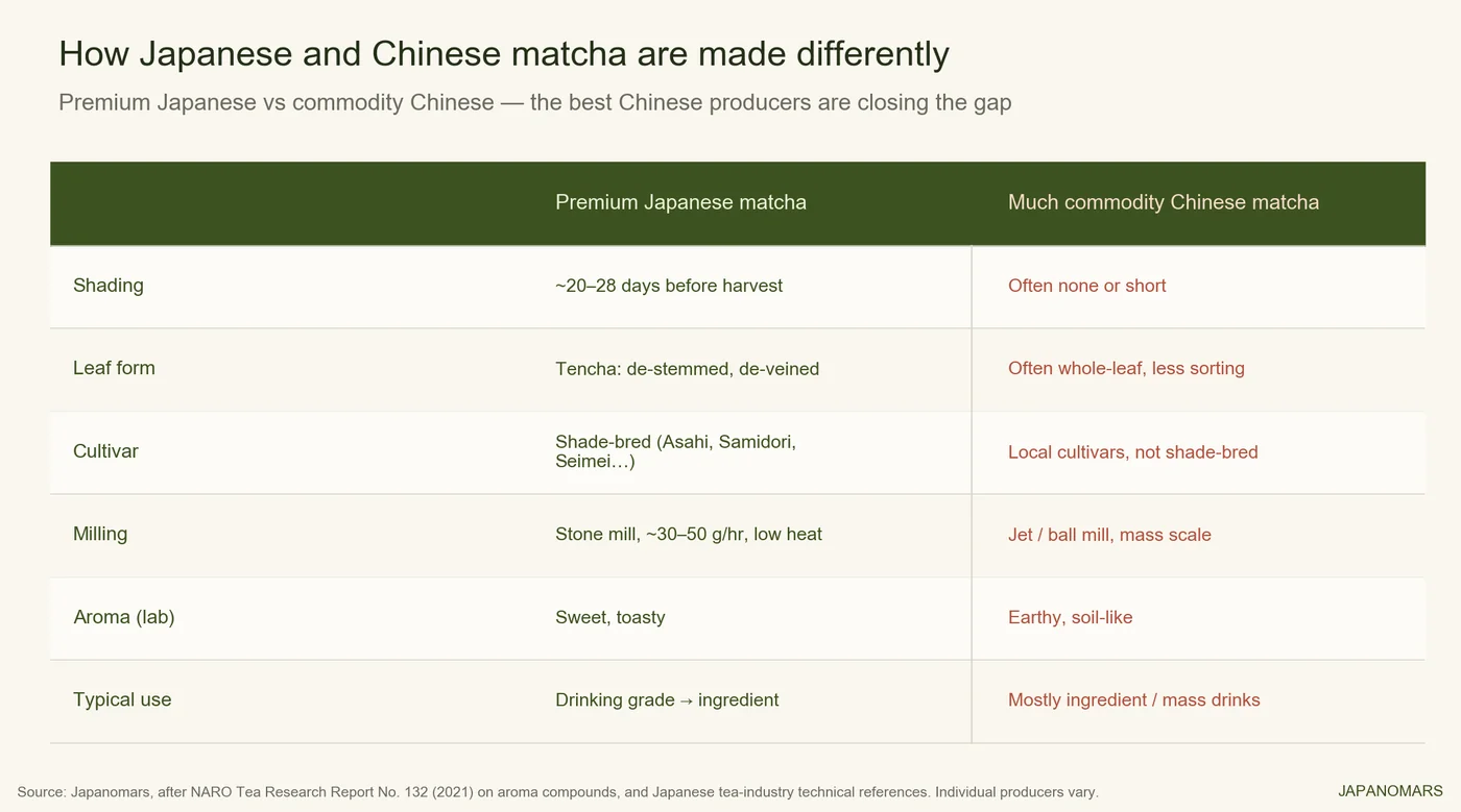 Diagram: Japanese and Chinese matcha diverge at growing, processing, and milling