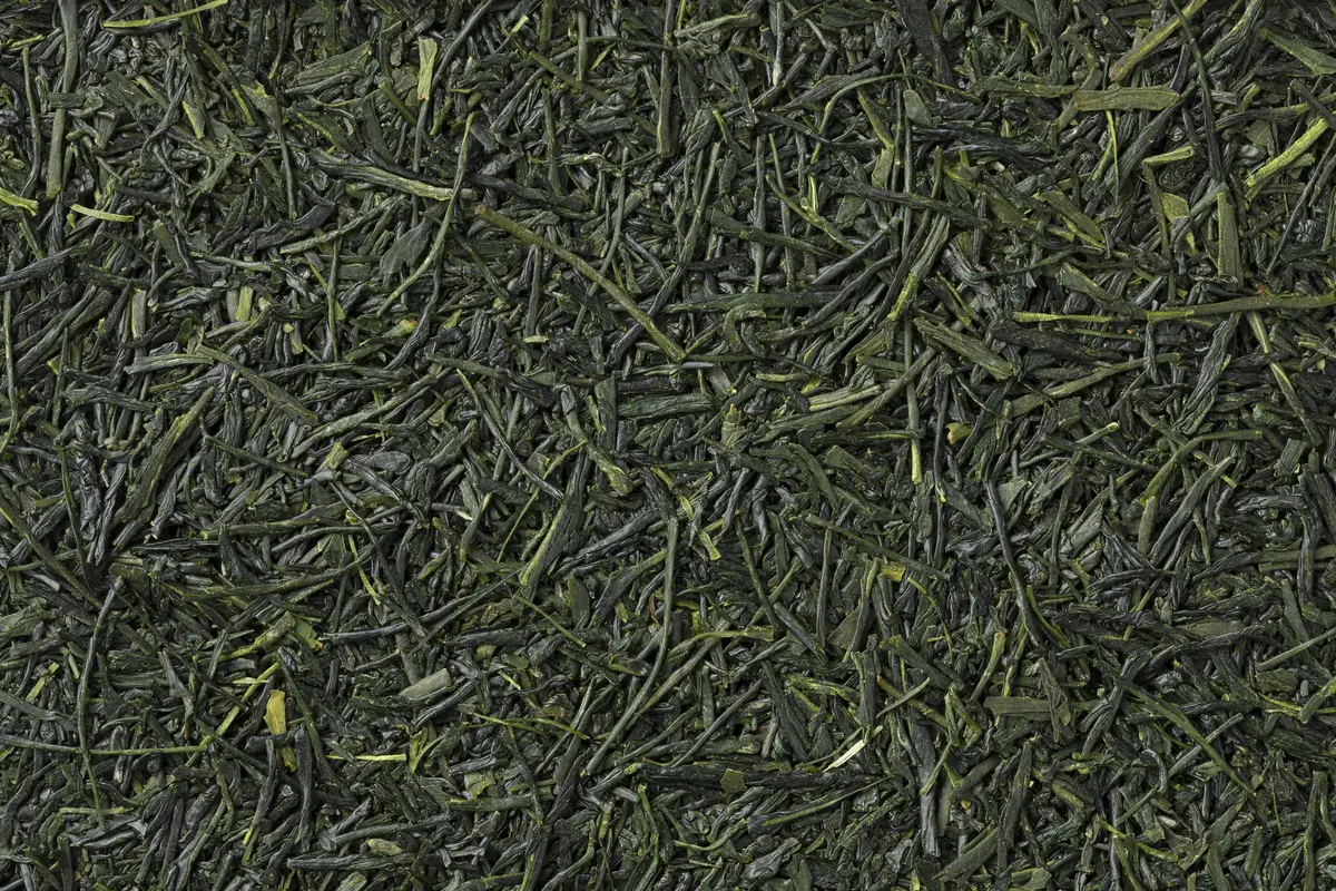 A close view of dark green, needle-shaped Japanese green tea leaves filling the frame.