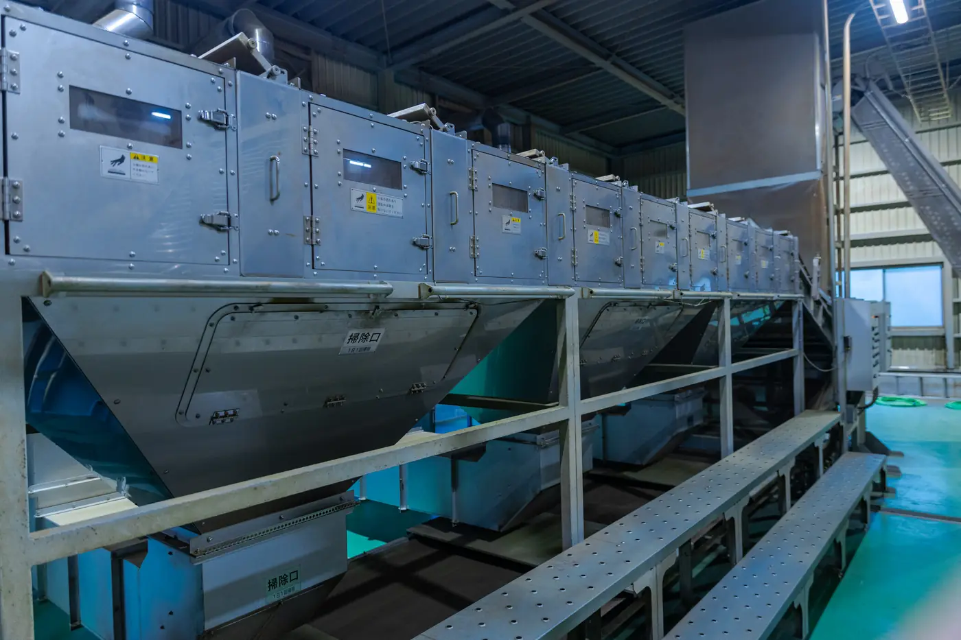 A stainless steel tencha processing line inside a Japanese tea factory