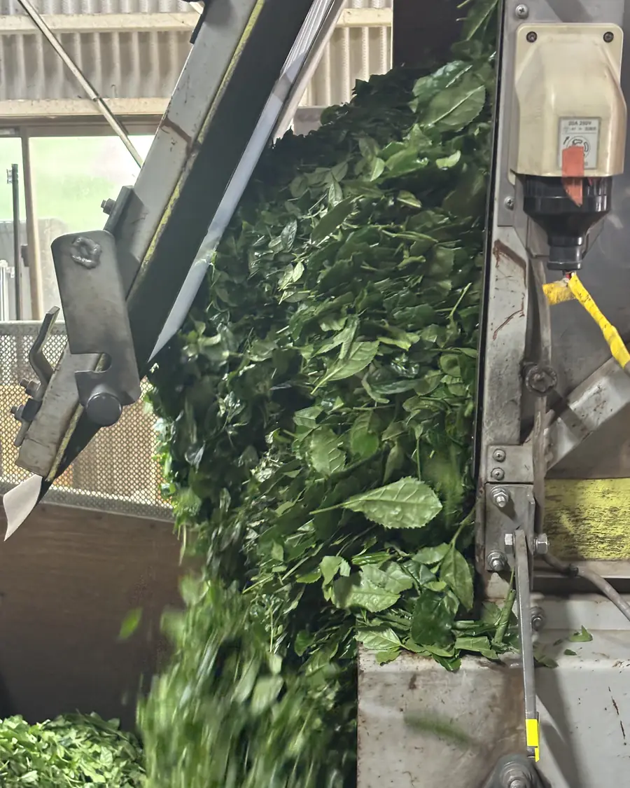 Straight into the factory