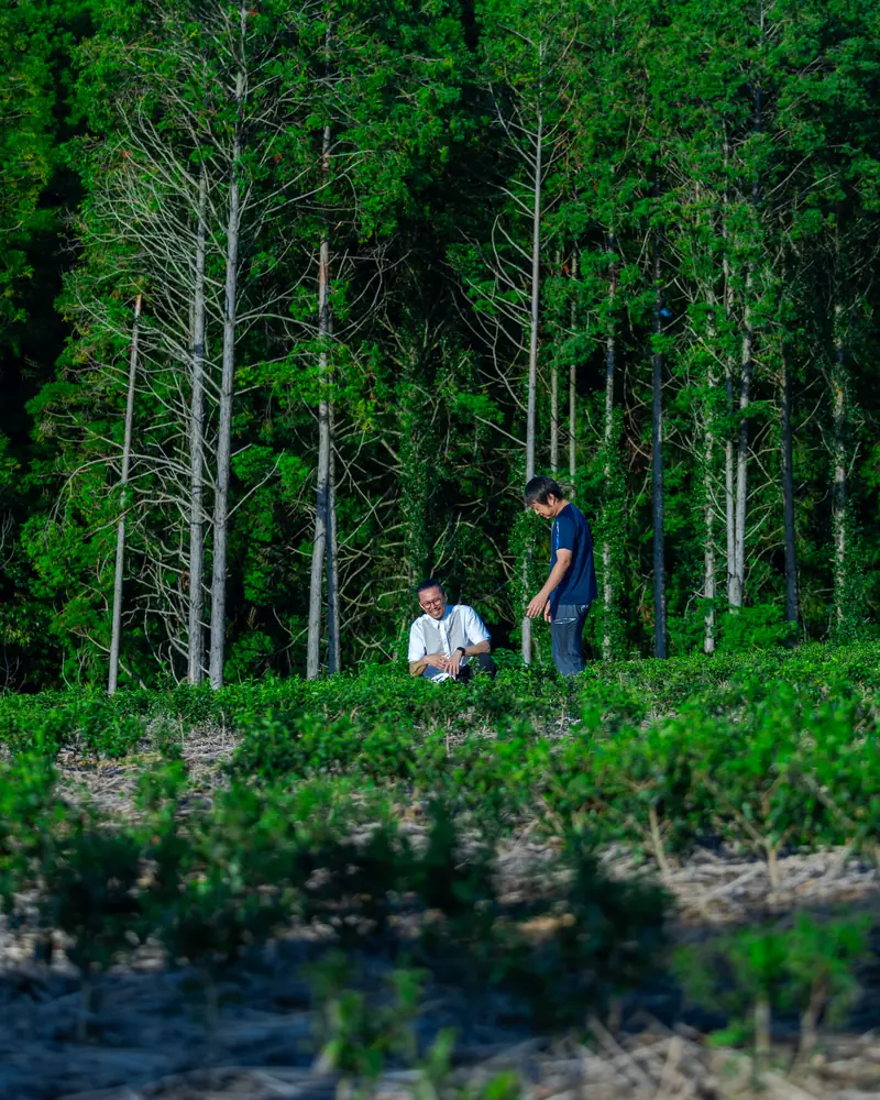 An organic field at the edge of the forest