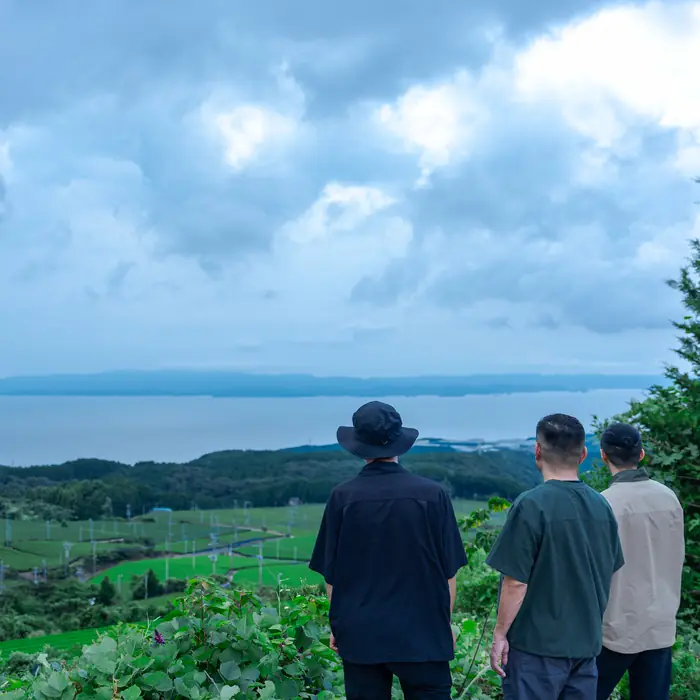 Looking out over the sea