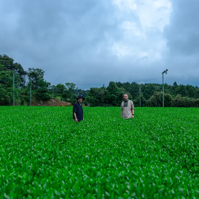 Walking the field