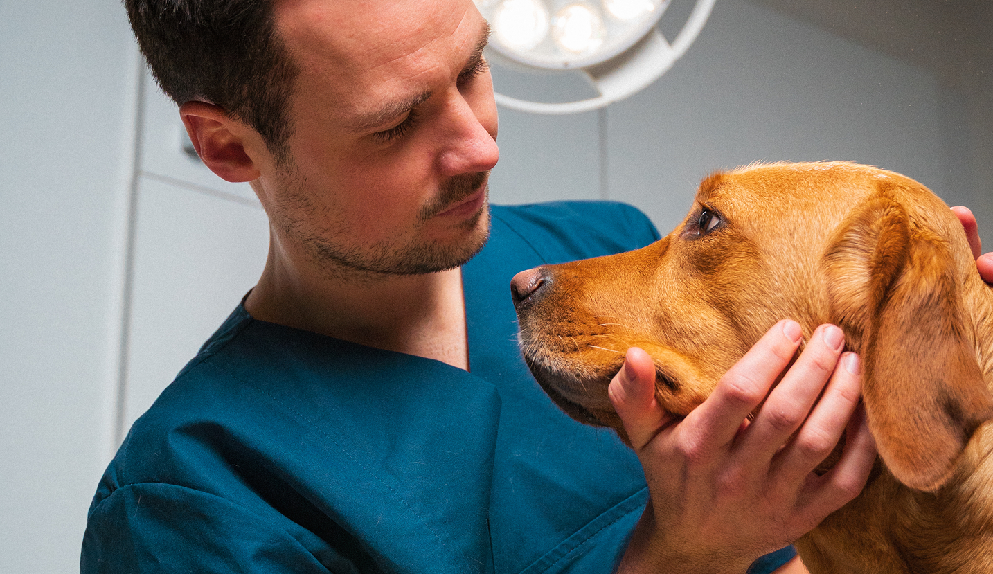 Tierarzt mit Hund