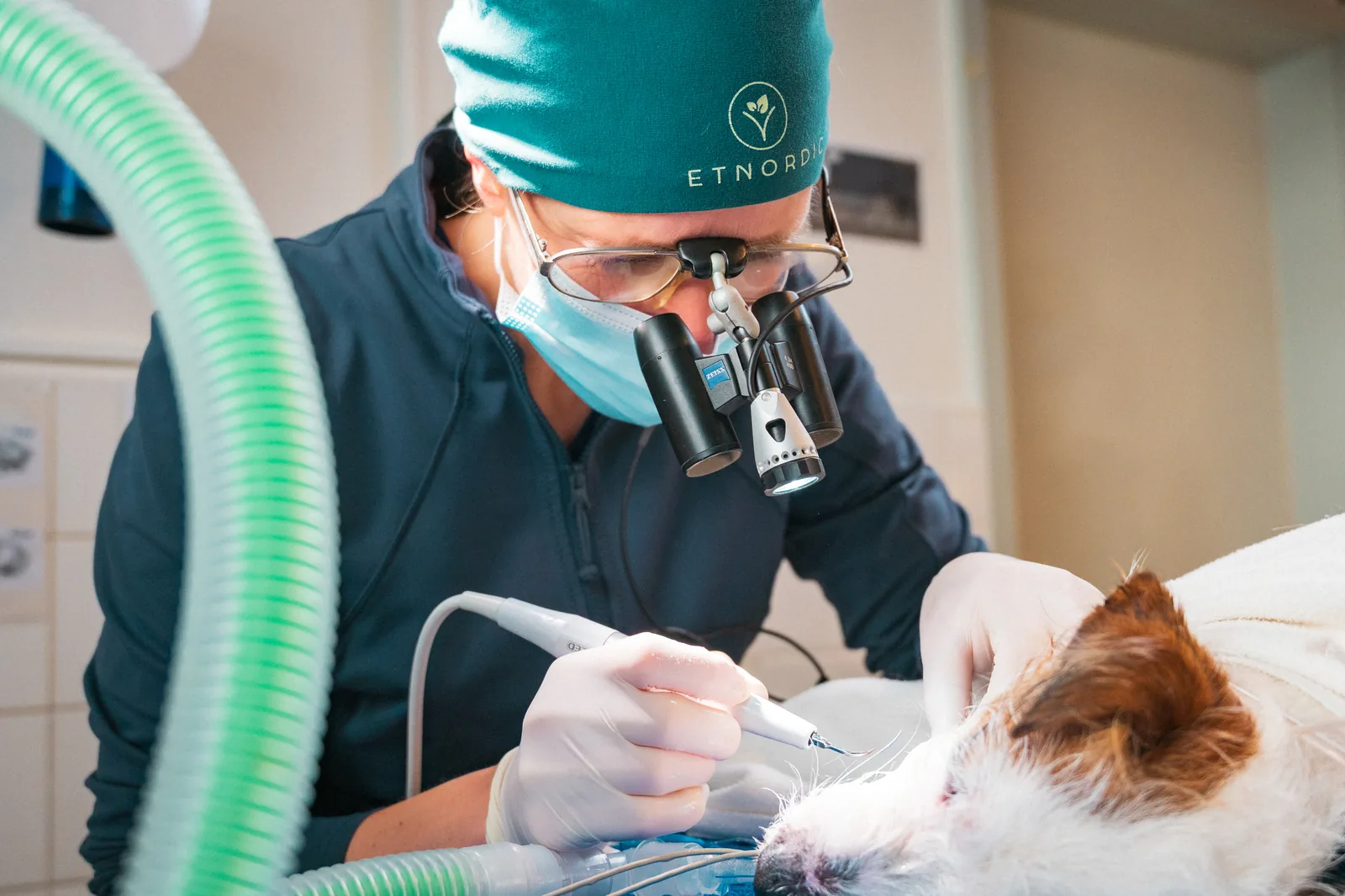 Operation: Chirurgin mit Lupenbrille beim Eingriff