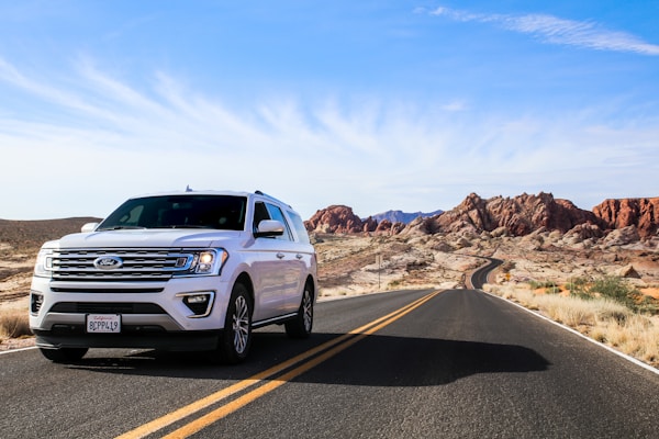 Ford Expedition Max Limited in Fire Valley