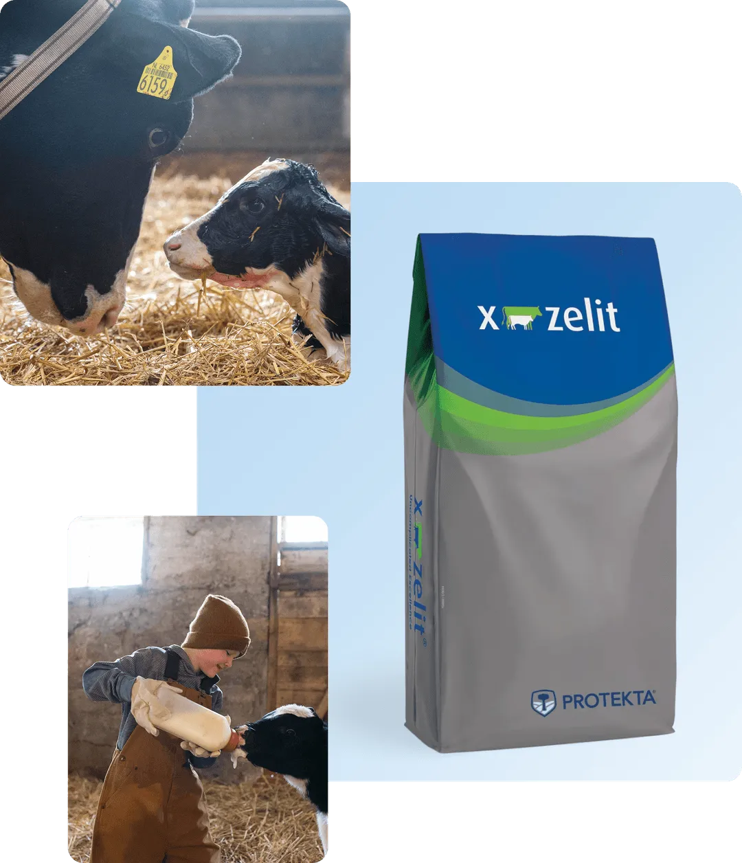 X-Zelit® for Dairy
