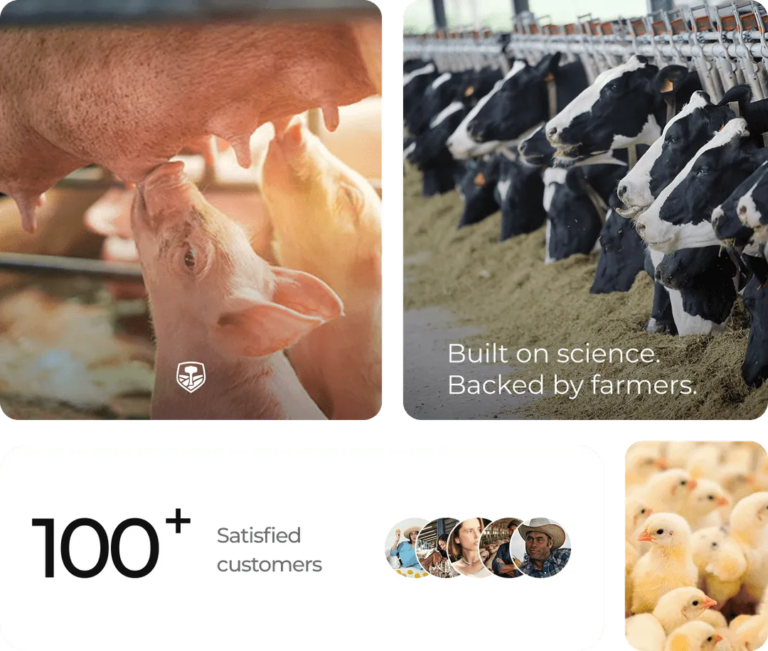 Connect with Our Experts