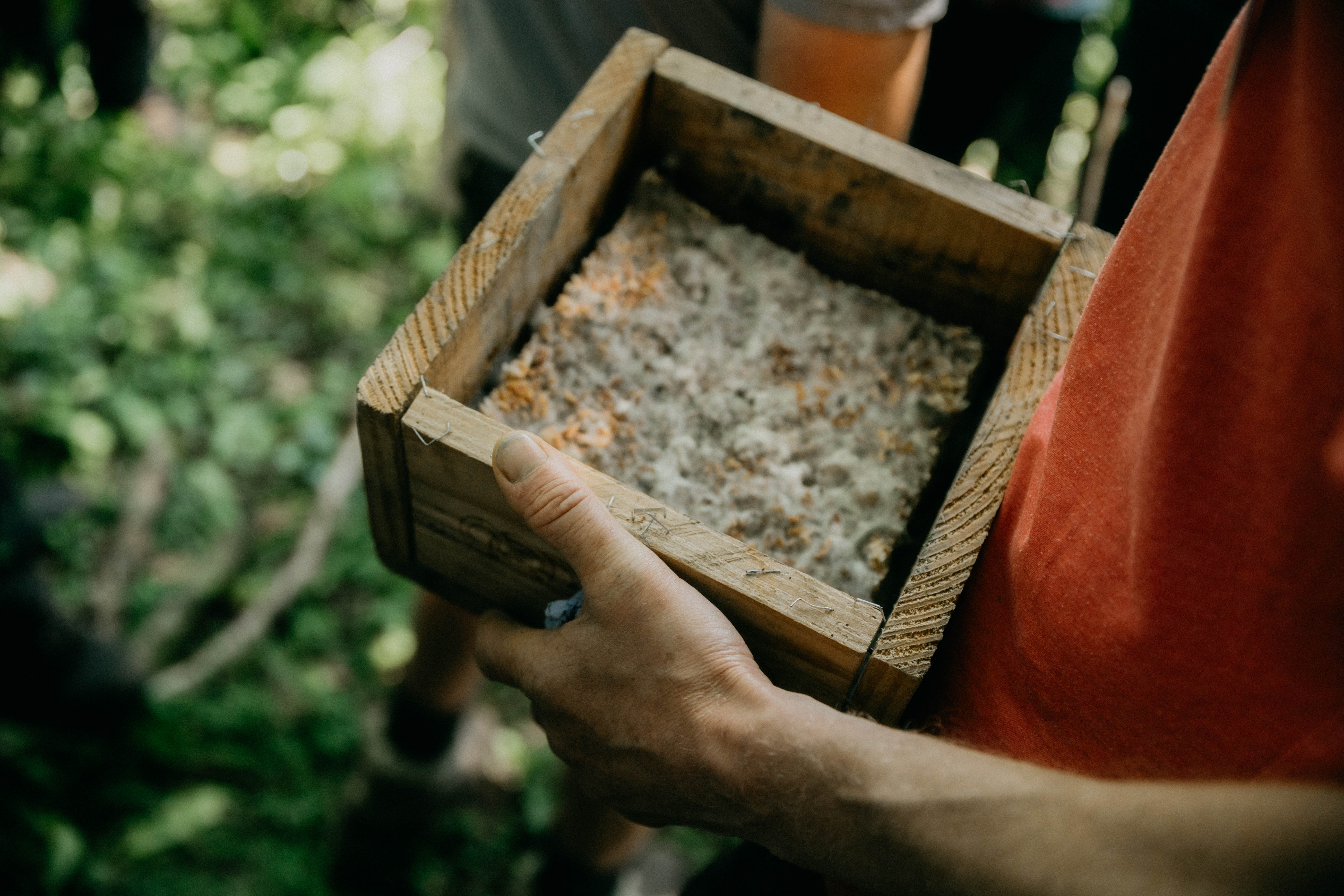 Person holding a wooden box with moldy fungal growth inside outdoors.