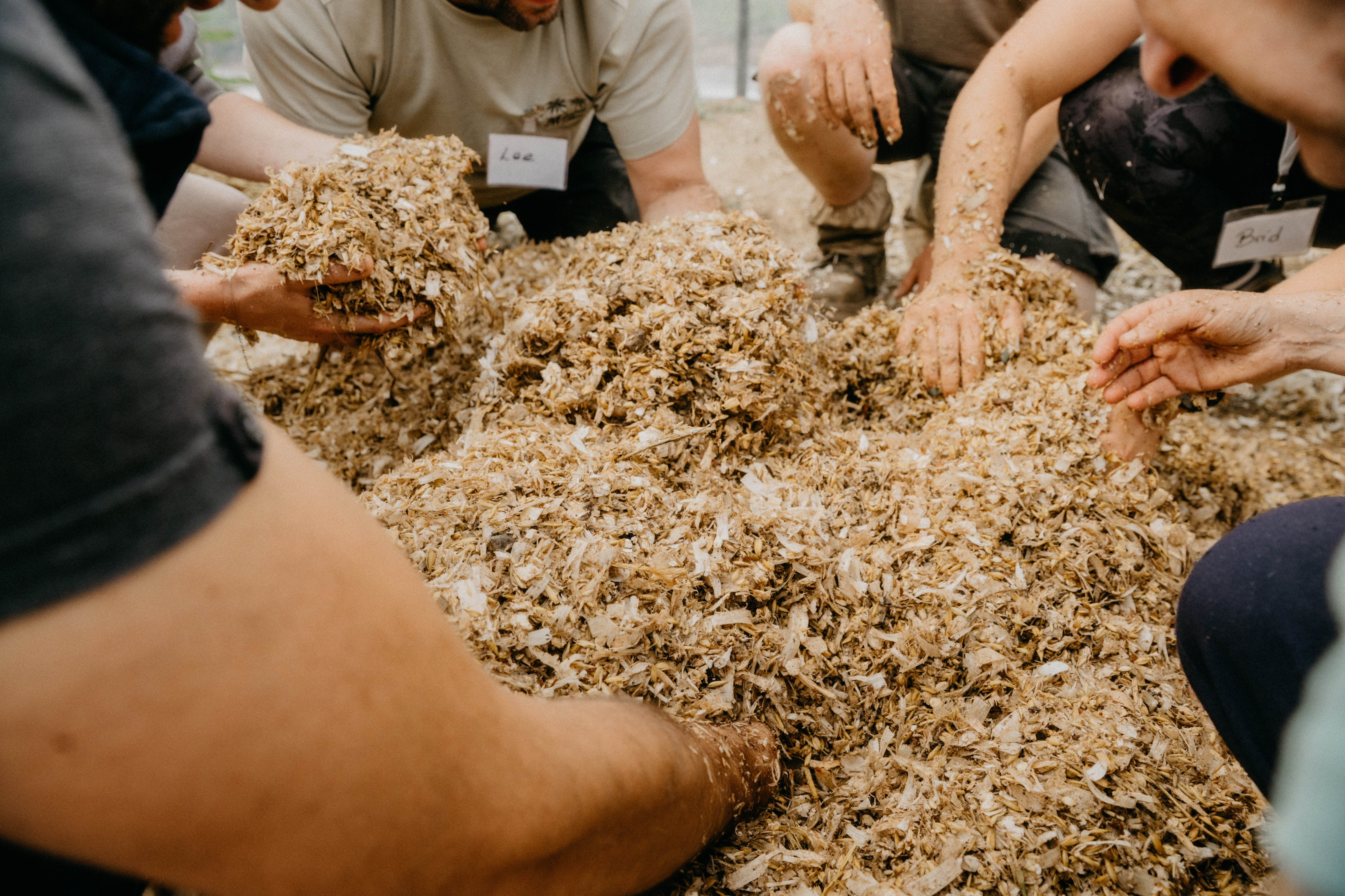 Multiple people kneeling and handling a large pile of wood shavings or mulch outdoors.