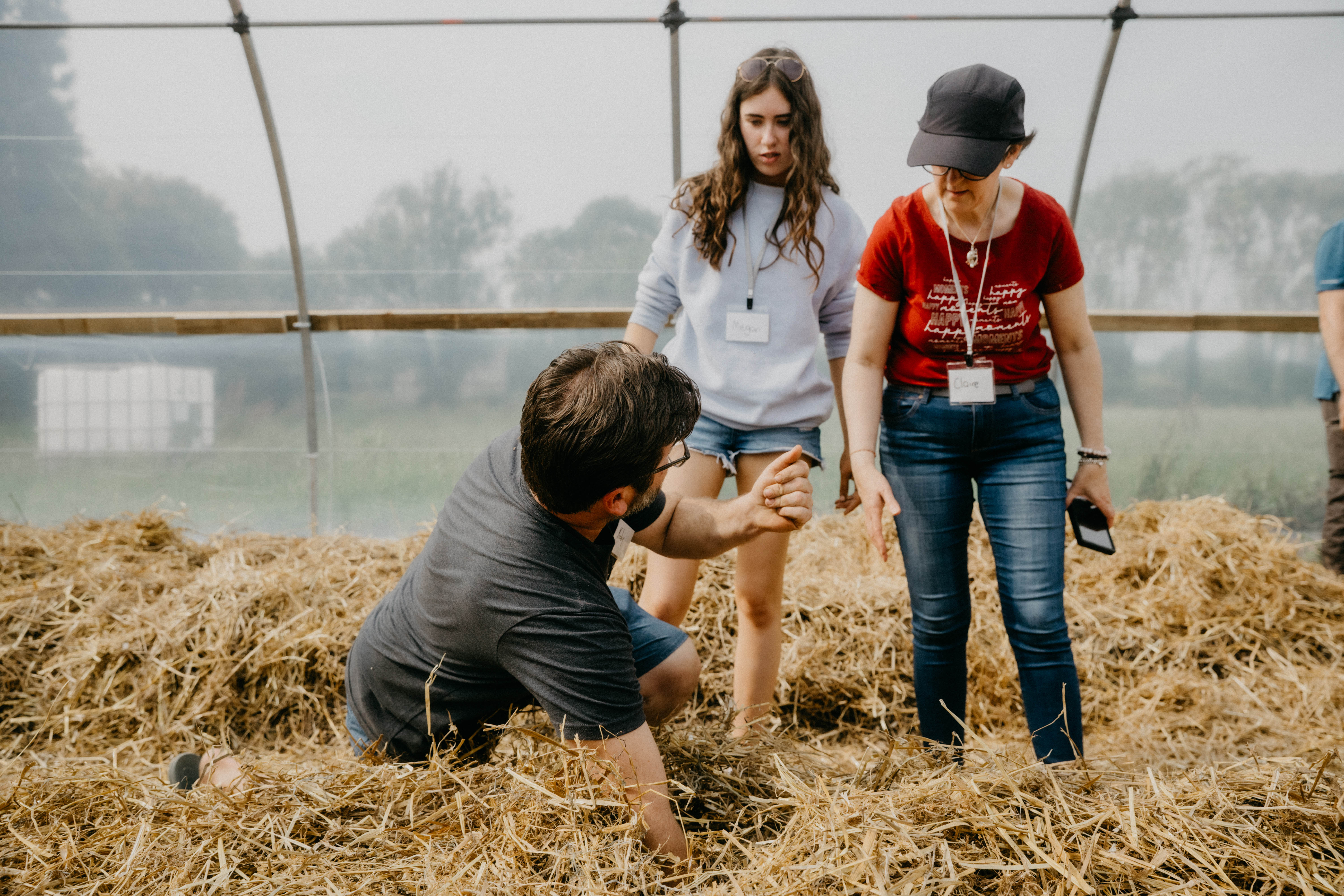 Three people examining straw or hay inside a greenhouse with blurred outdoor background.