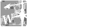 Wilmoth Group