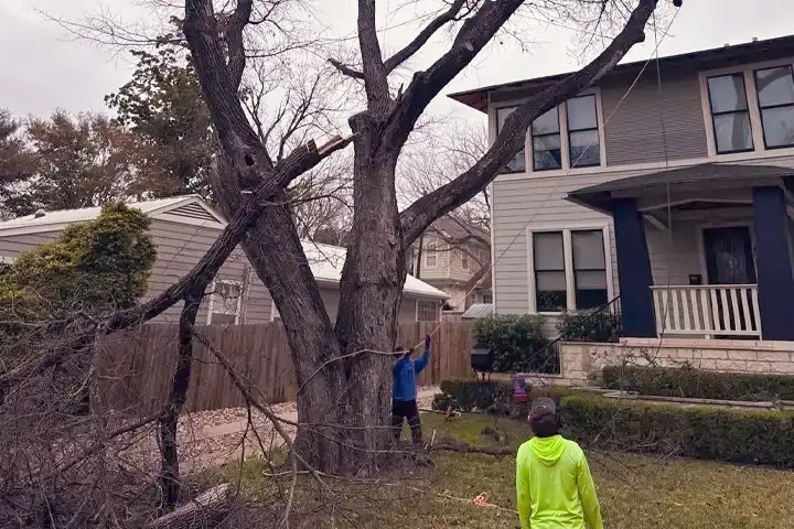 A large tree with a broken branch leans precariously near a house. Two people stand nearby; one in a blue shirt pointing at the tree, the other in a neon green hoodie observing.护.