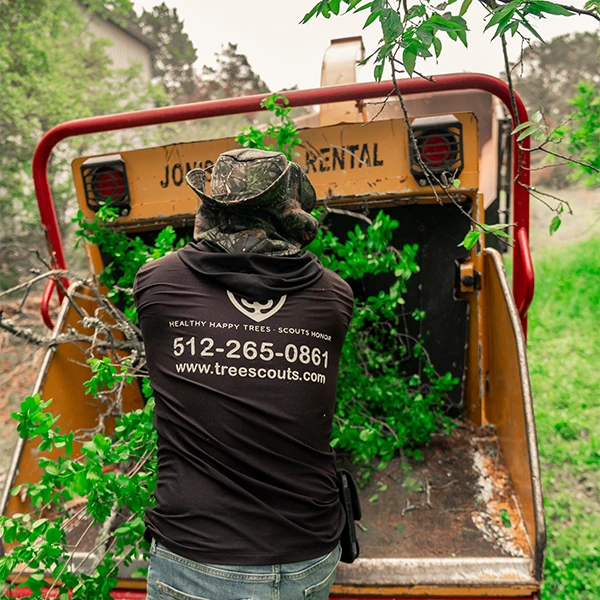 Emergency Tree Removal Services in Cities Around Austin