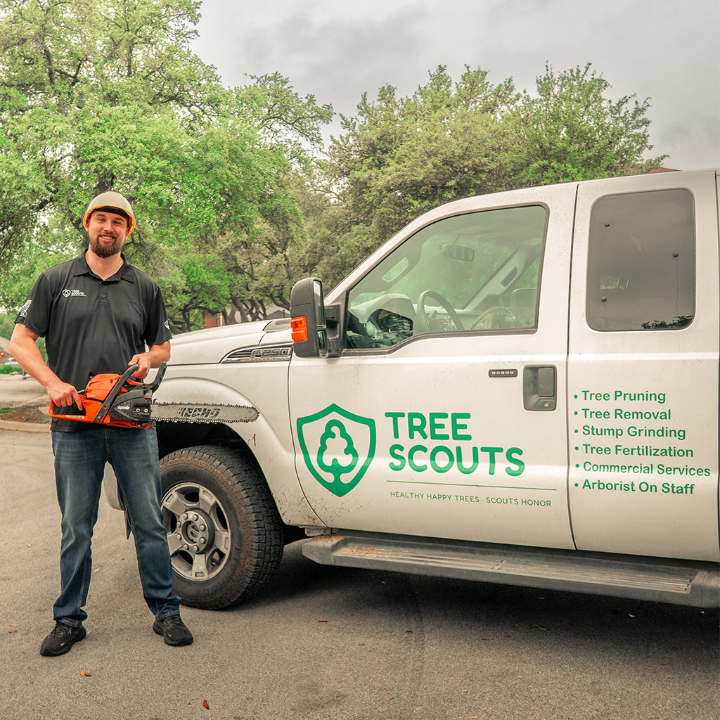 tree scouts tree service chipper truck and regular truck at an arborist appointment in austin texas