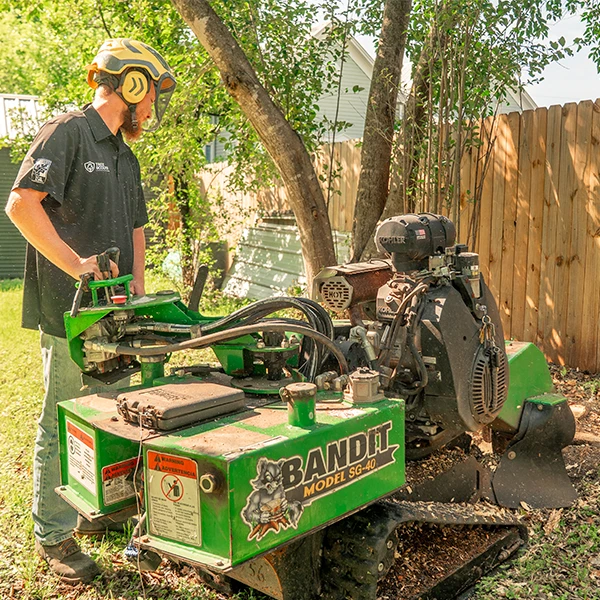 We Offer Stump Grinding Services