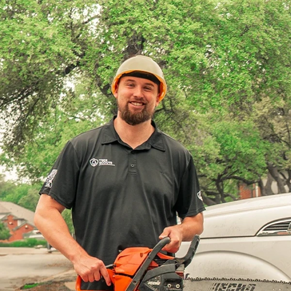 tree scouts arborist in georgetown tx