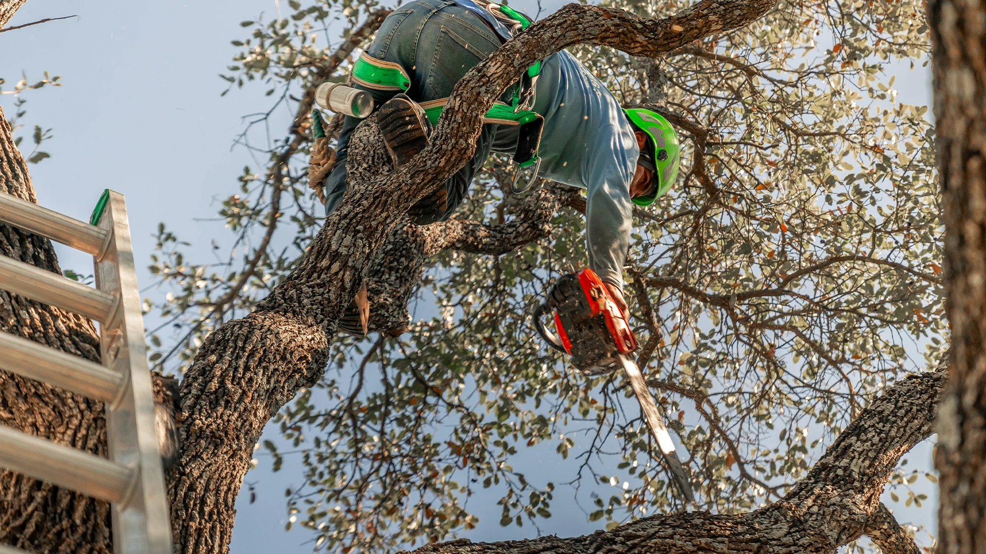 Lawn Care in Bee Cave, TX