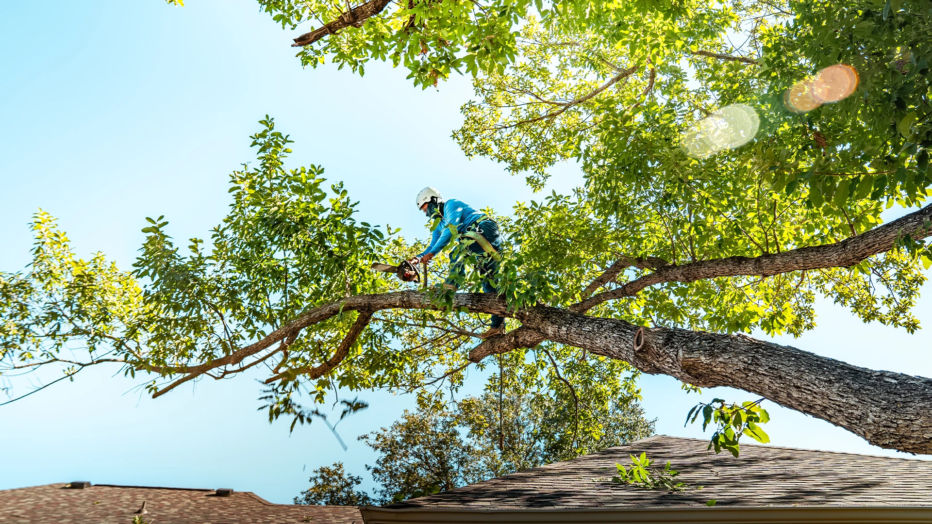 Lawn Care in Georgetown, TX