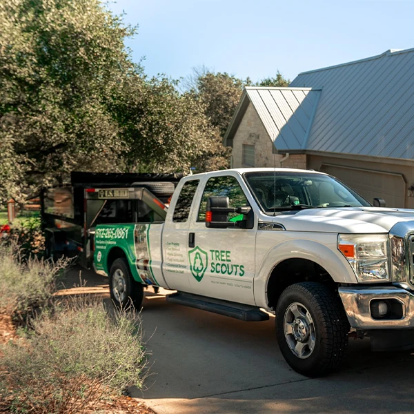 Tree trimming in Lakeway TX