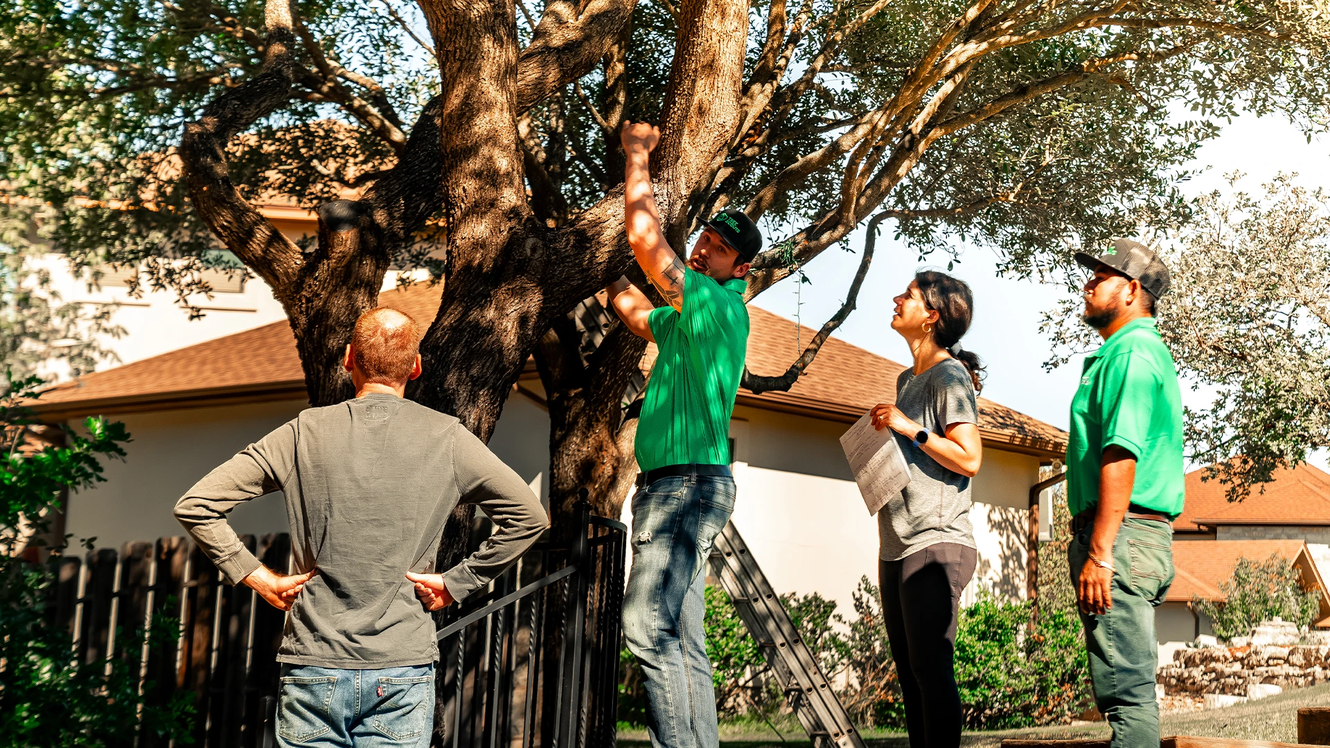 Lawn Care in Steiner Ranch, TX