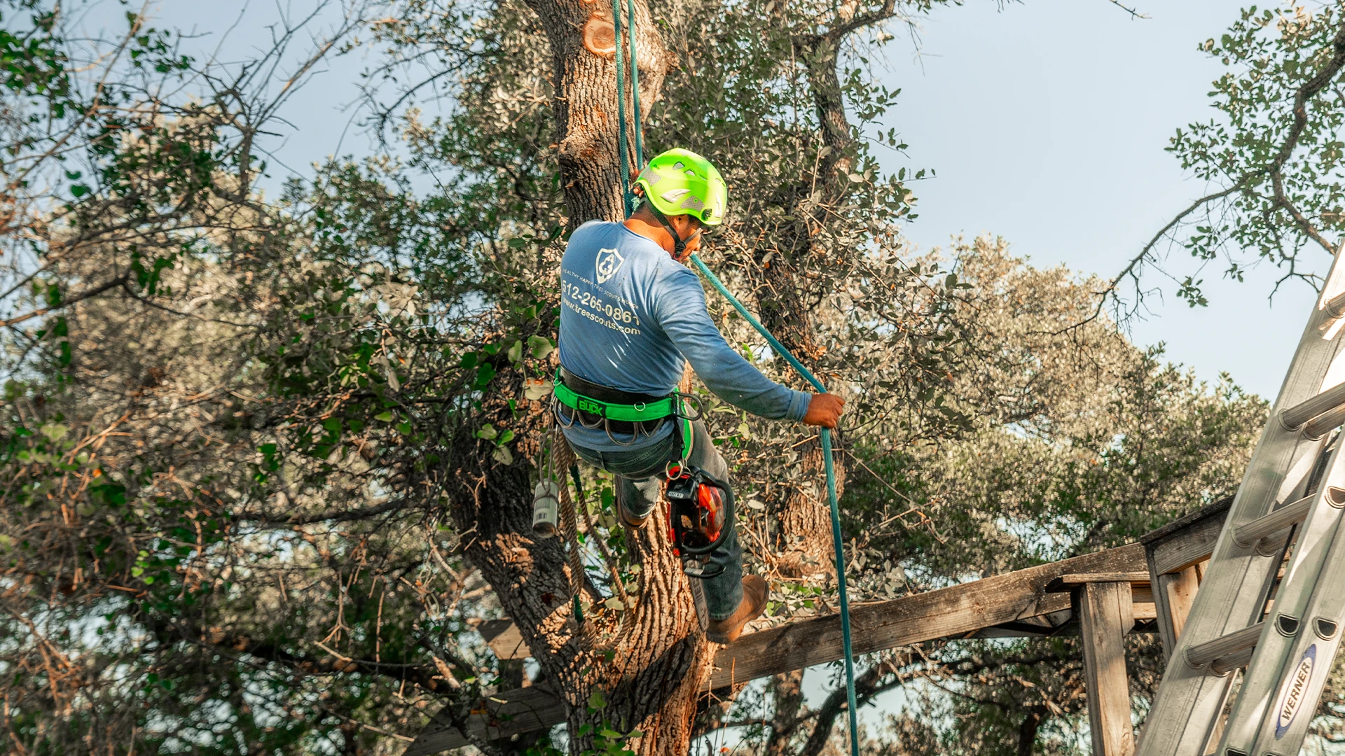 Lawn Care in Pflugerville, TX