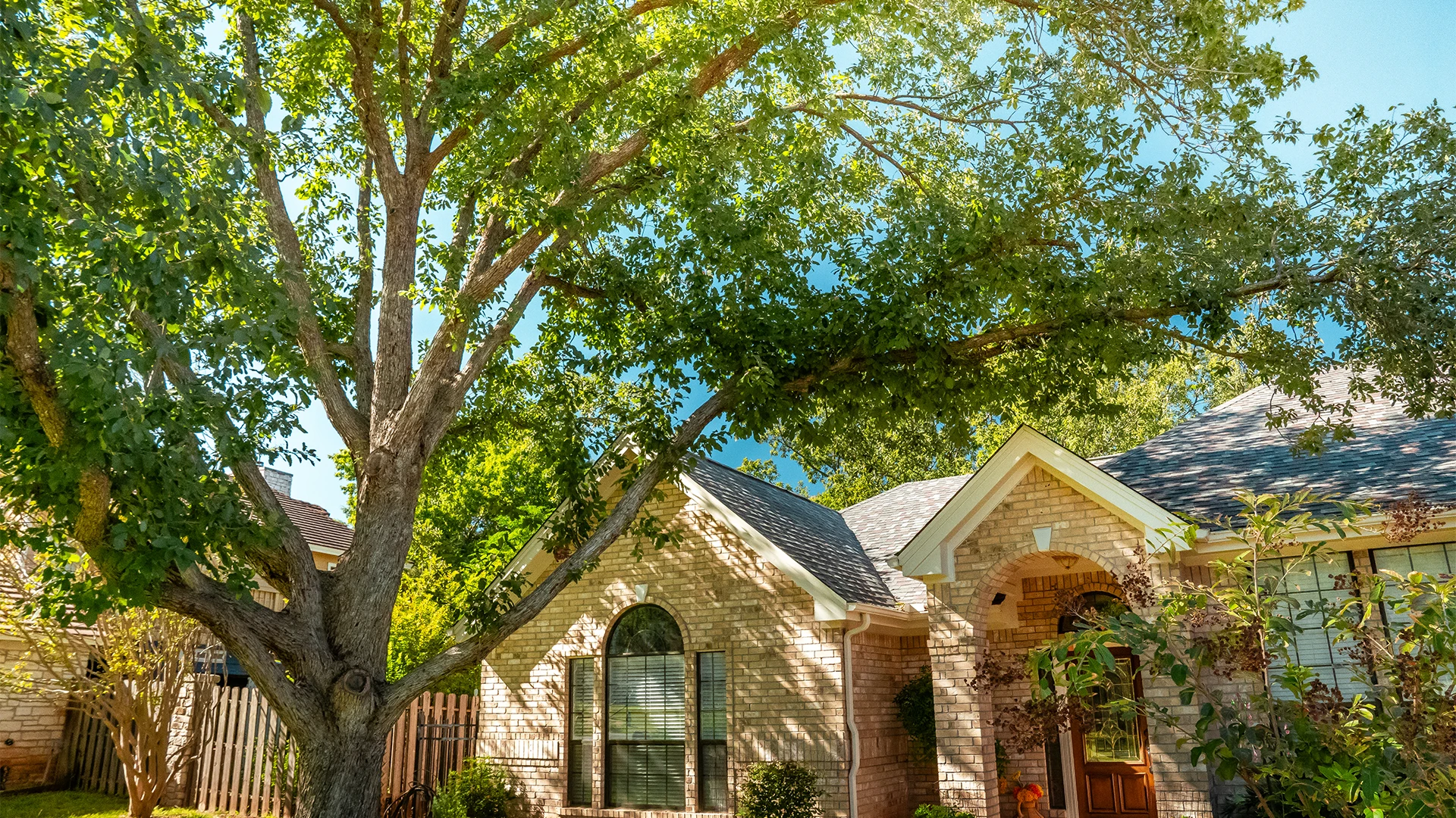 Lawn Care in Liberty Hill, TX