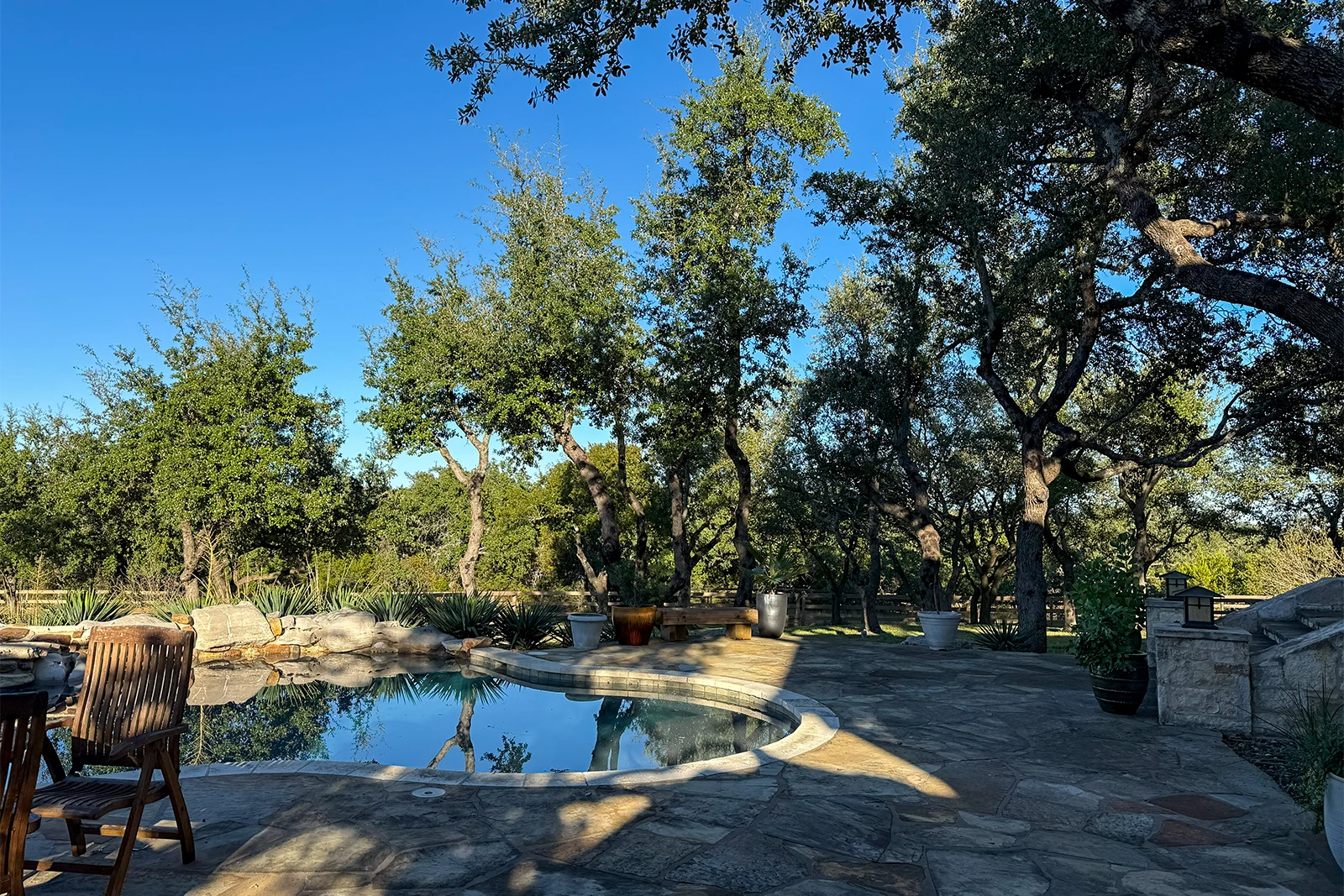 property clearing and trimming in round rock texas