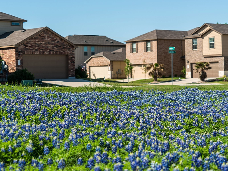 Residential street in Leander, Texas with well-maintained lawns under a clear sky.