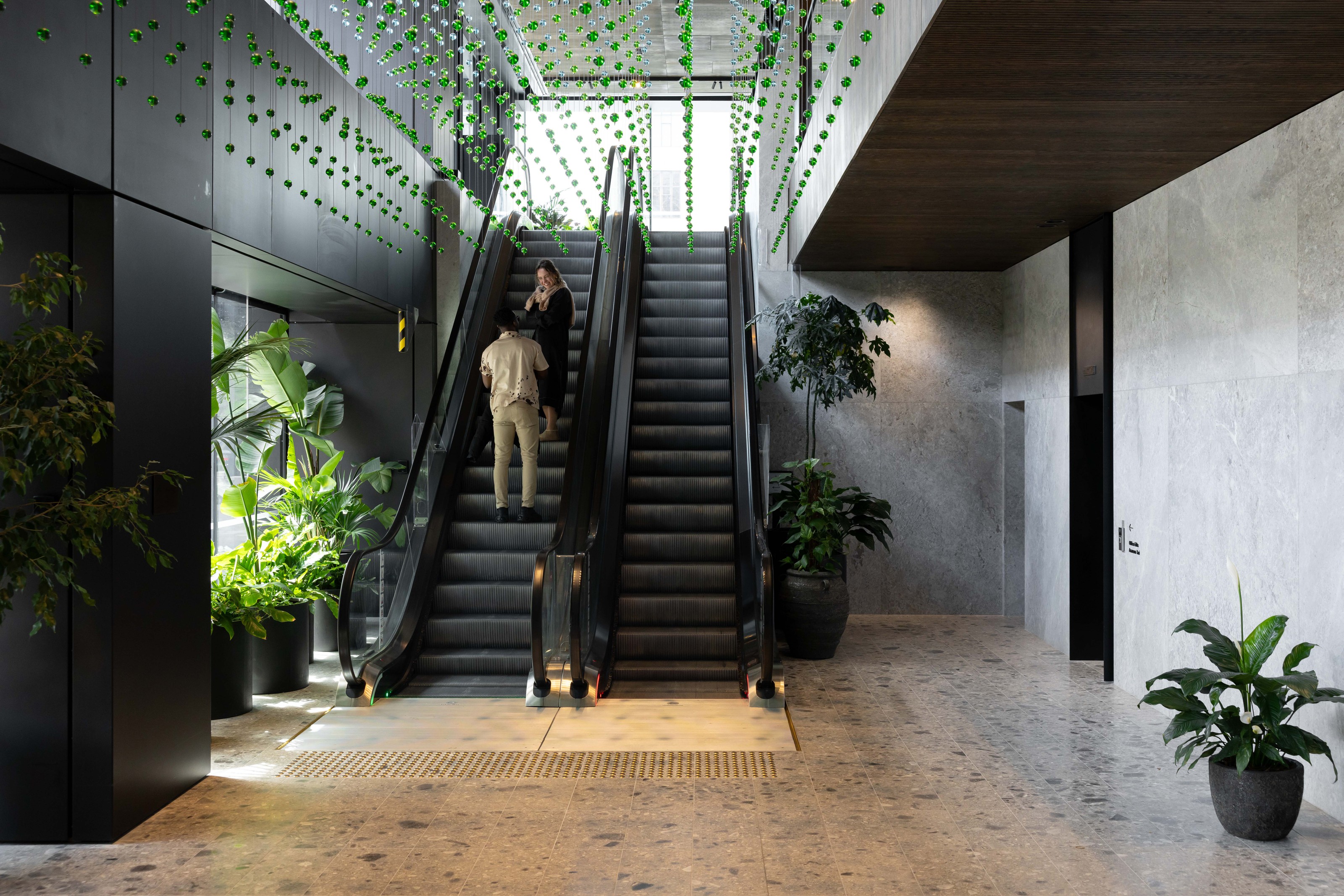 Commercial lobby with hanging greenery and planting at the Deloitte Centre by GreenAir