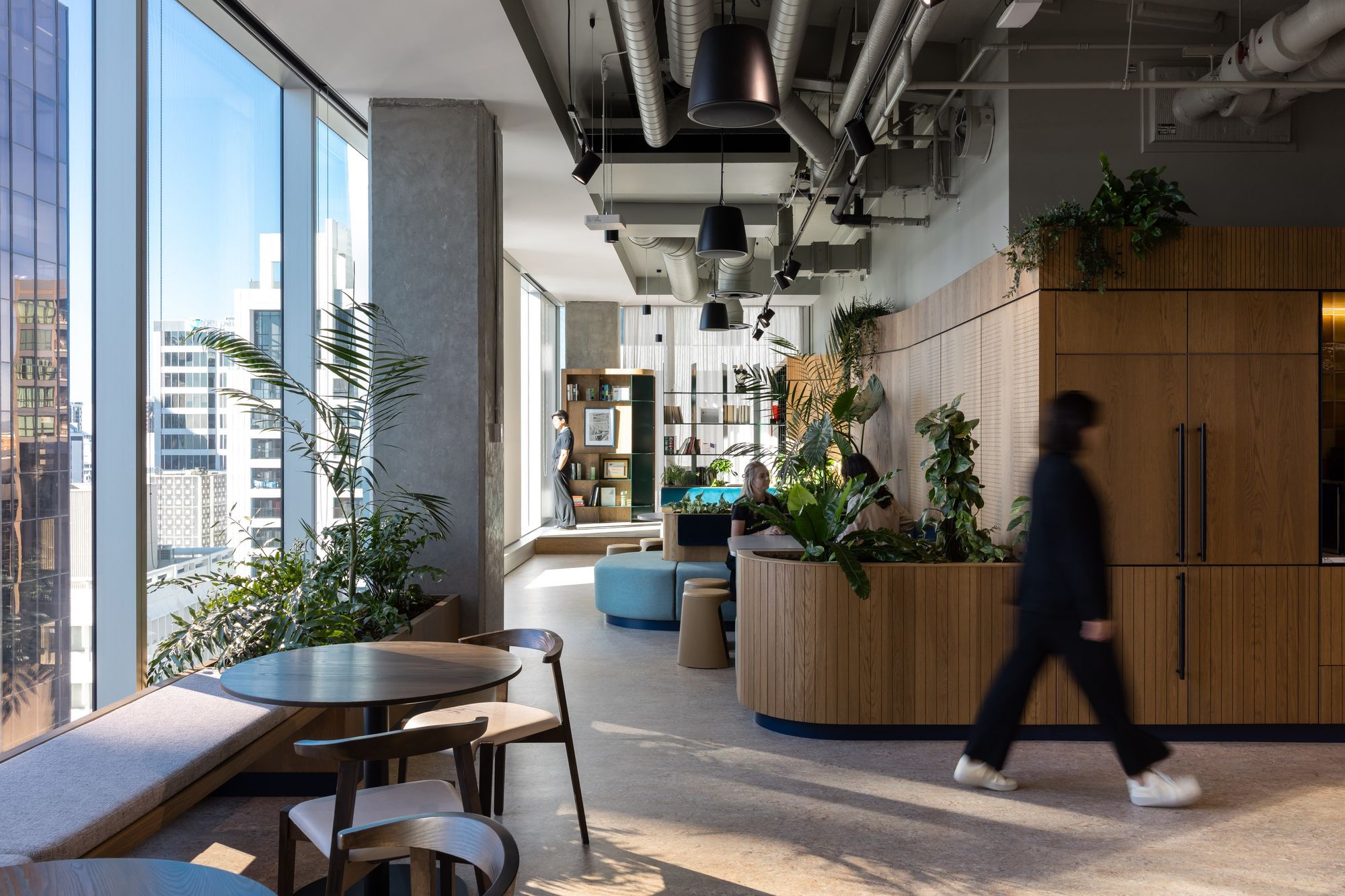 GreenAir biophilic office fit-out with greenery and city views at Milford Asset Finance Auckland