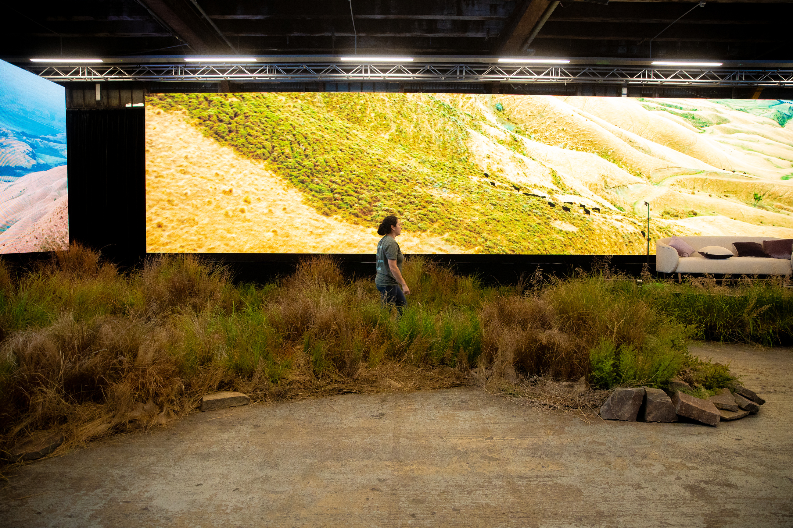 Tussock and native grasses by GreenAir, Air New Zealand uniform release