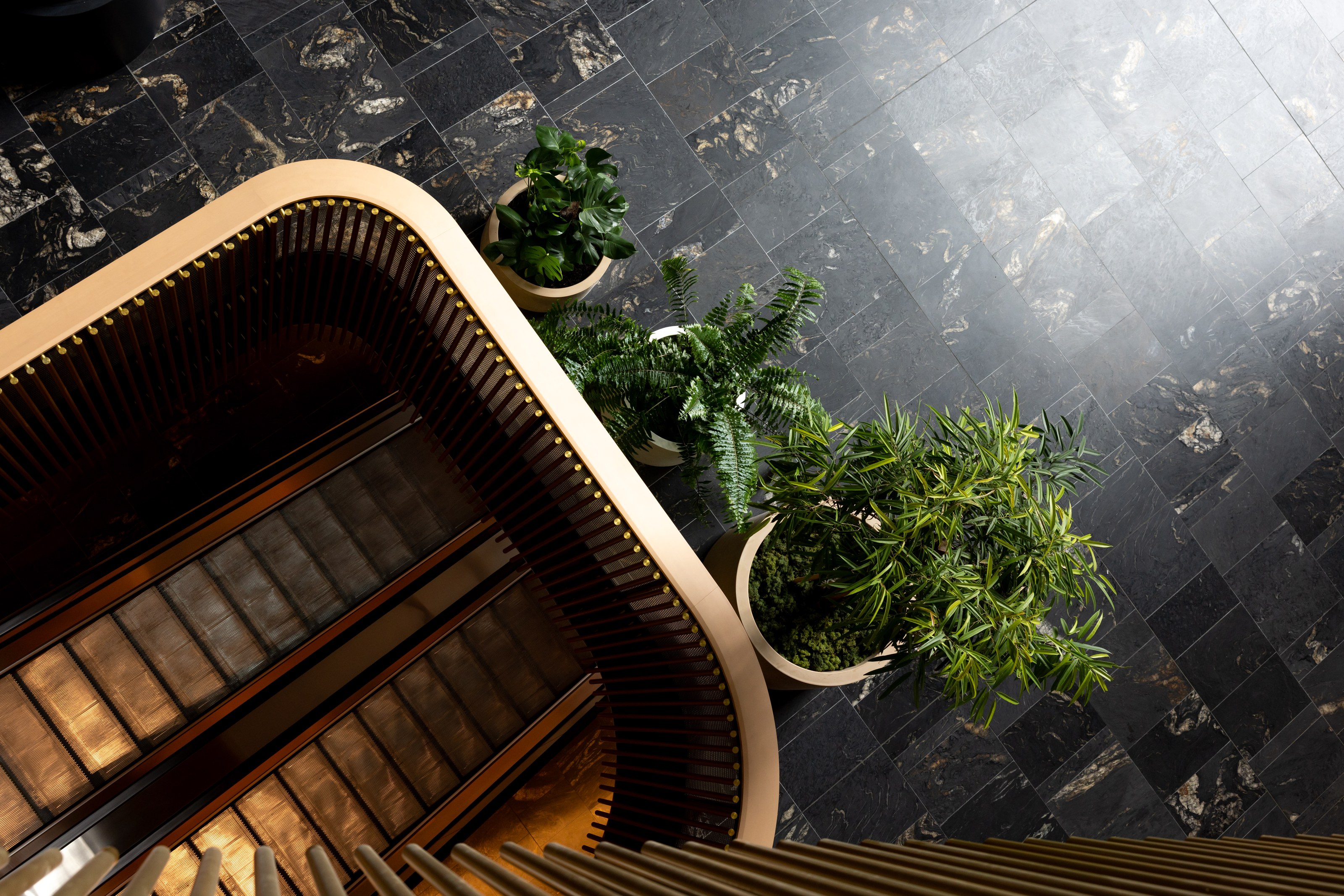 Interior planting at the NZICC