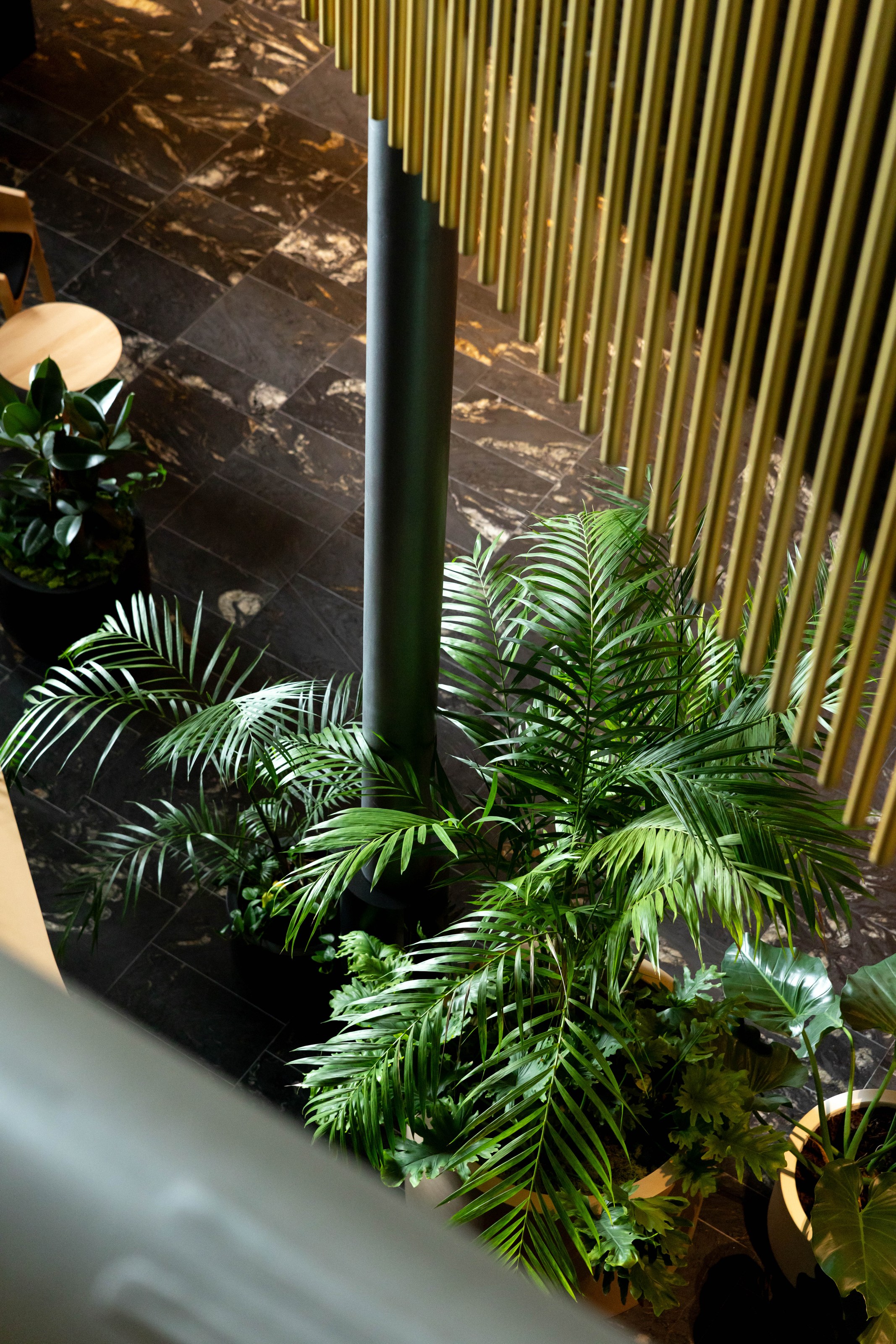 Interior planting at the NZICC