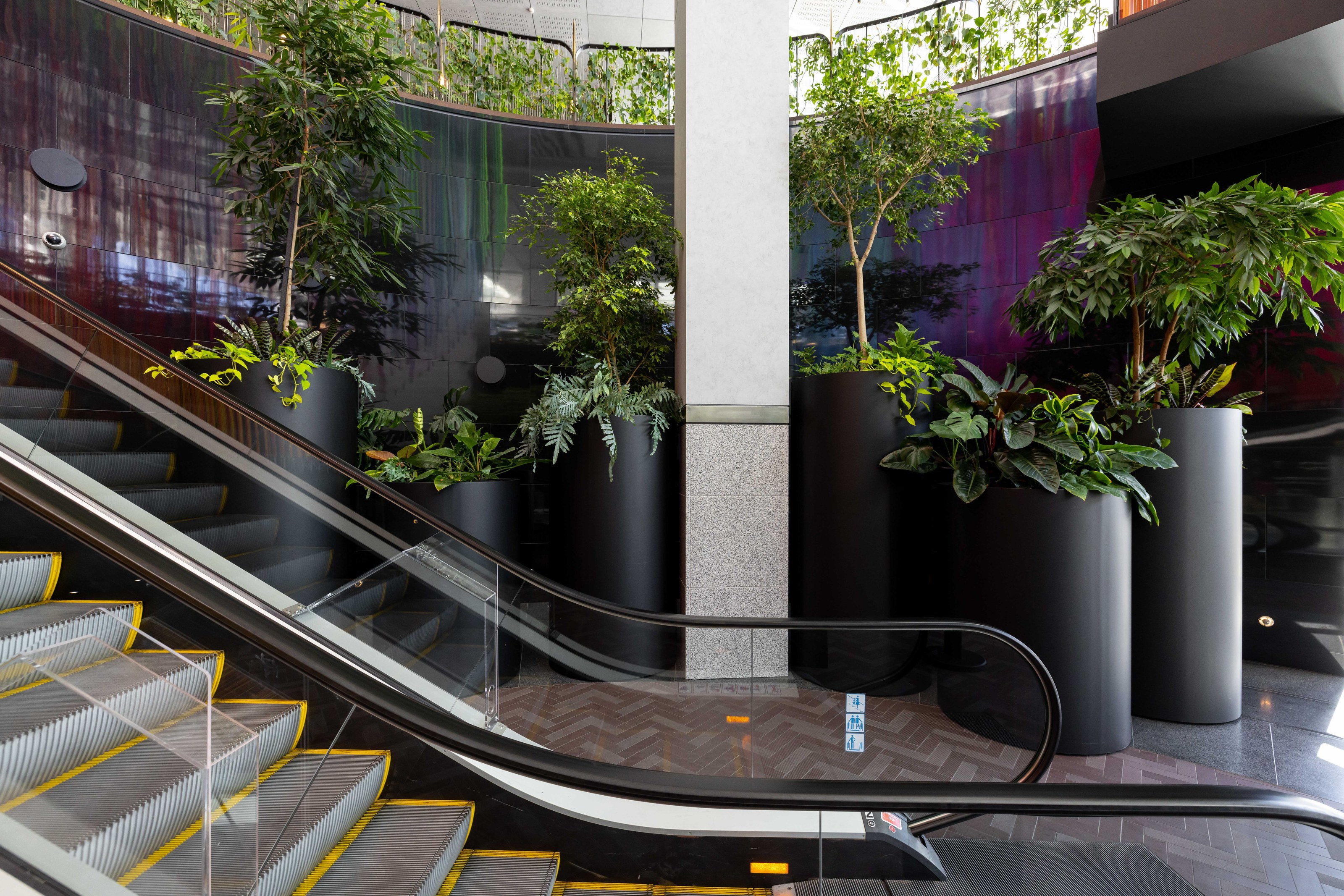 Interior planting at 188 Quay Street
