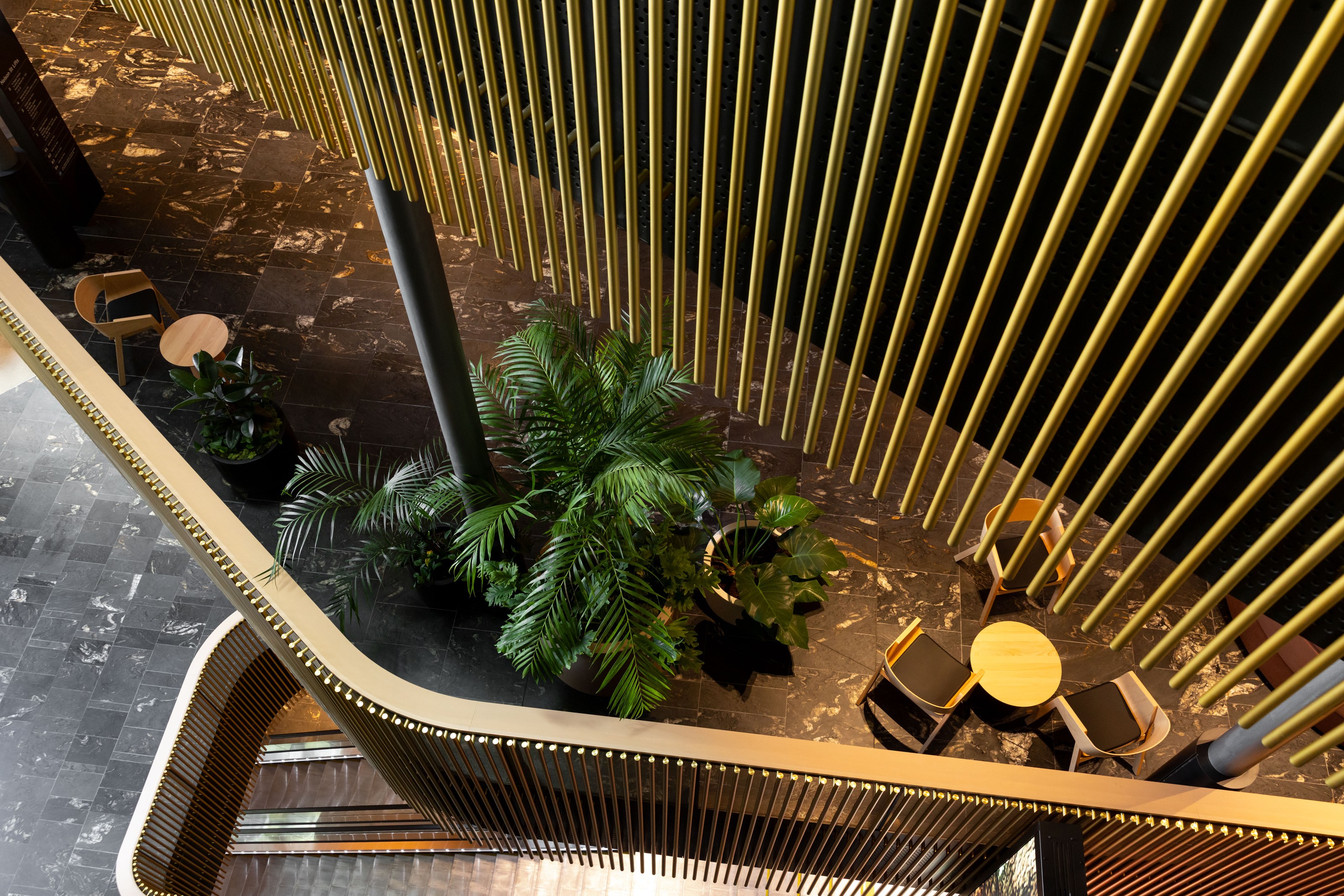 Interior planting in a commercial fit-out at the NZICC