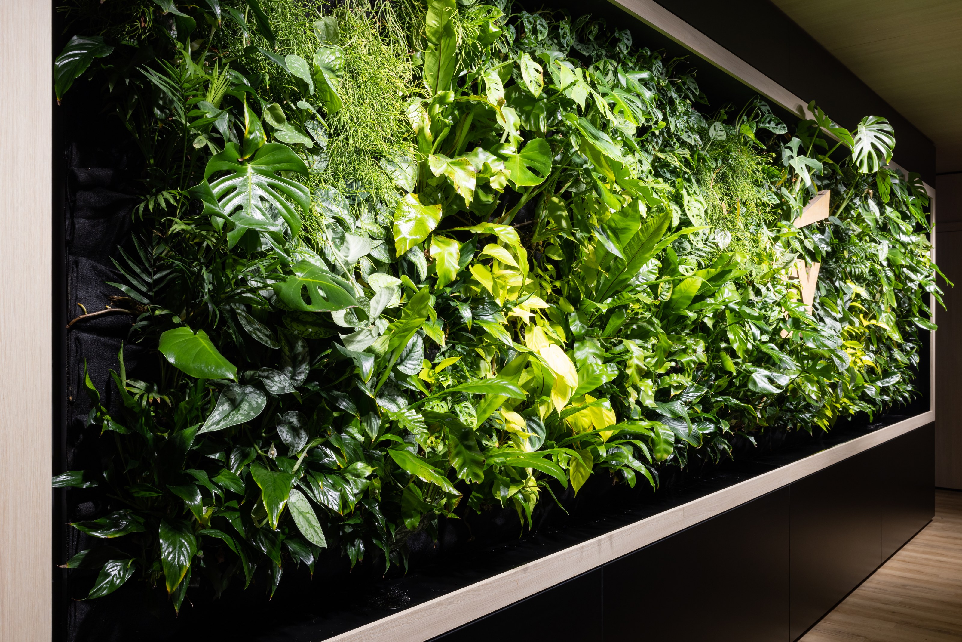 GreenAir living green wall of layered foliage in a commercial interior