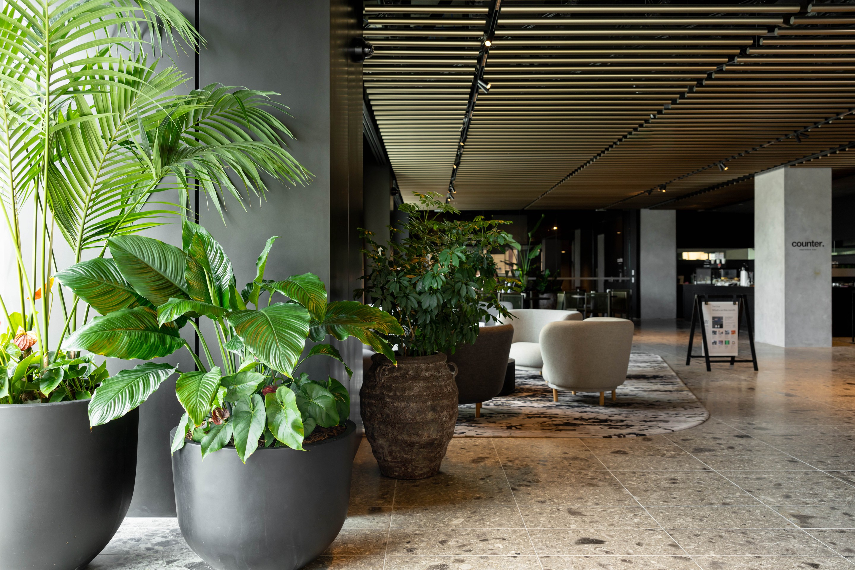 Interior planting and clustered planters in a commercial lounge at the Deloitte Centre by GreenAir