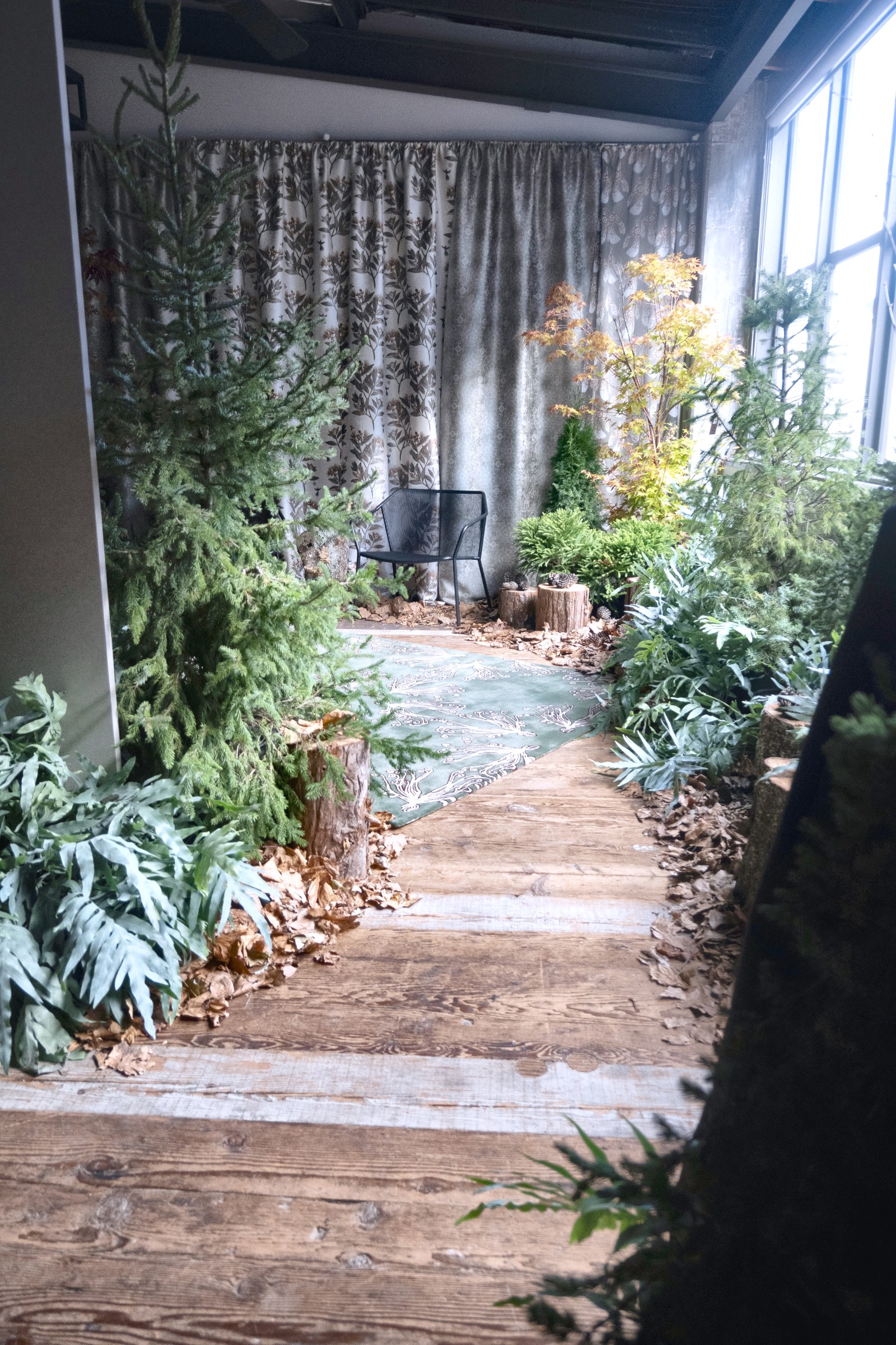 Lush planted pathway in GreenAir's Auckland Design Week garden