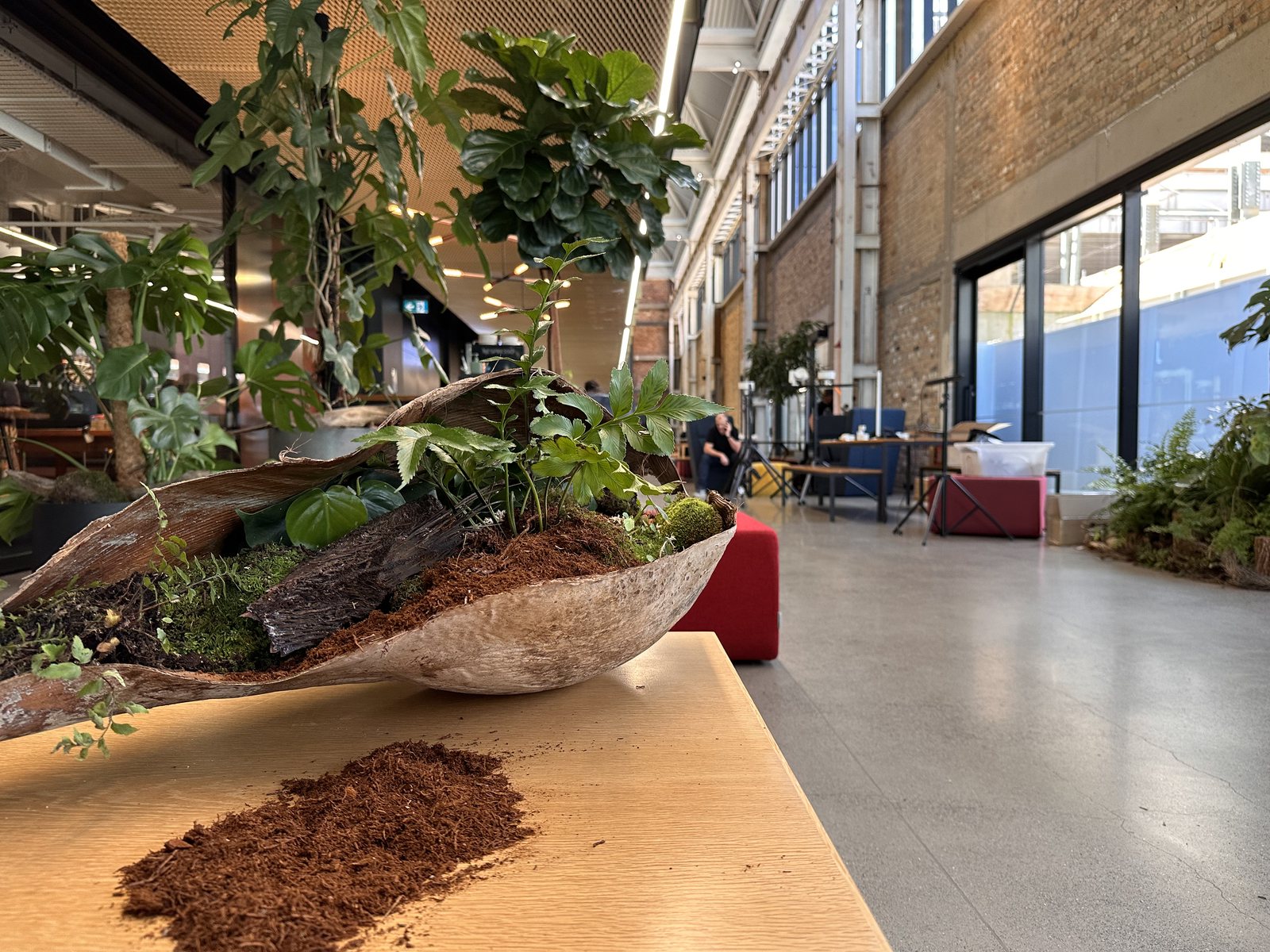 GreenAir planting installation at the Mason Bros building, Auckland