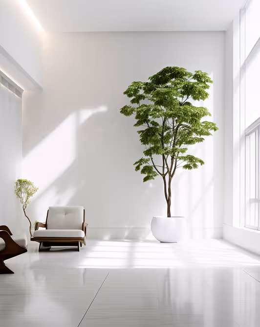 Bright minimalist room with large windows, white walls, a tall potted green tree, and a cushioned wooden armchair.