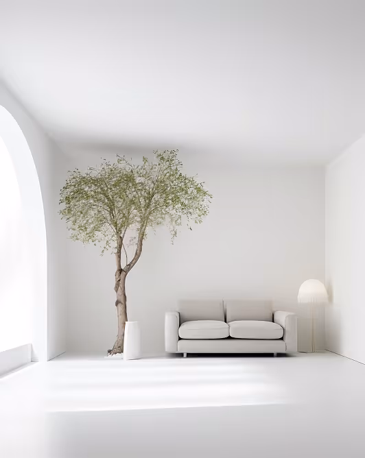 Minimalist white living room with a small sofa, indoor tree in a tall white planter, and a modern floor lamp.