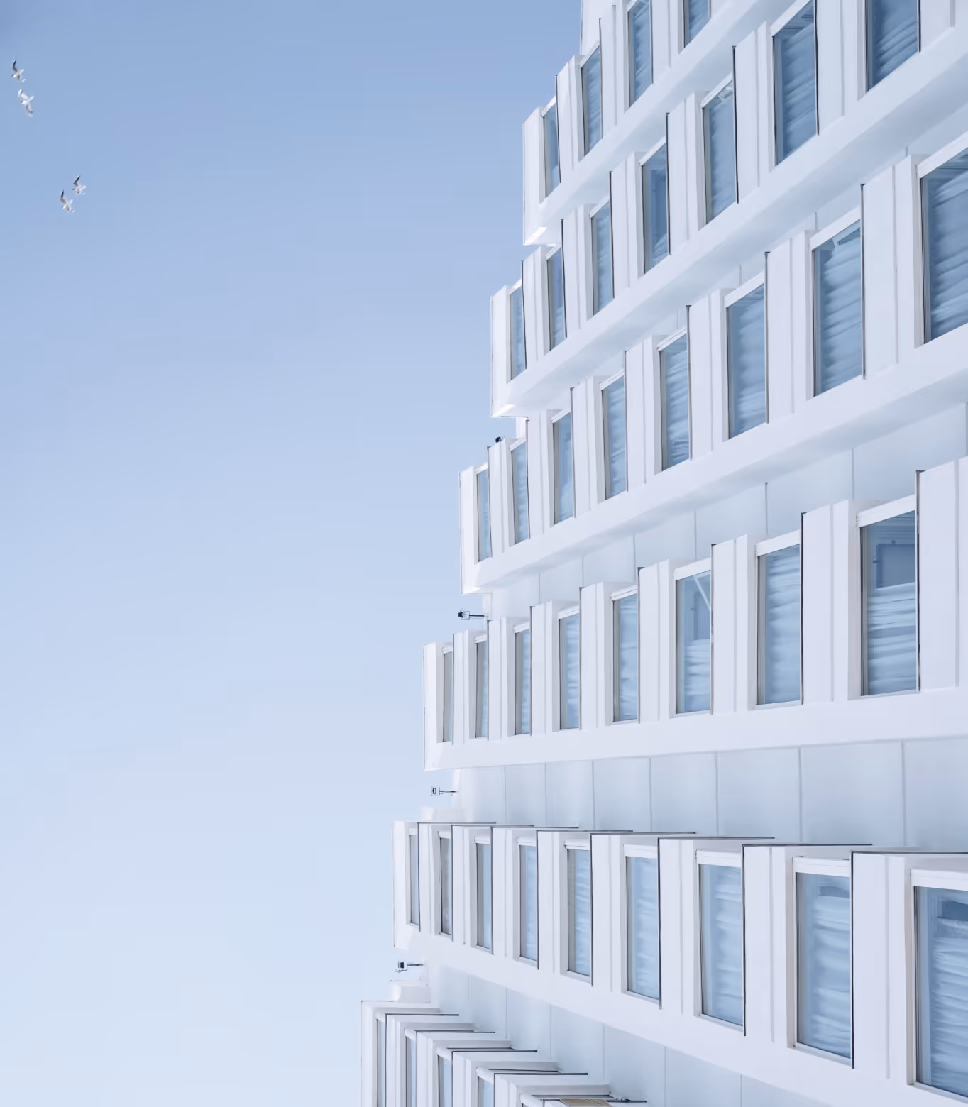 White modern building with rows of windows against a clear blue sky and birds flying on the left.