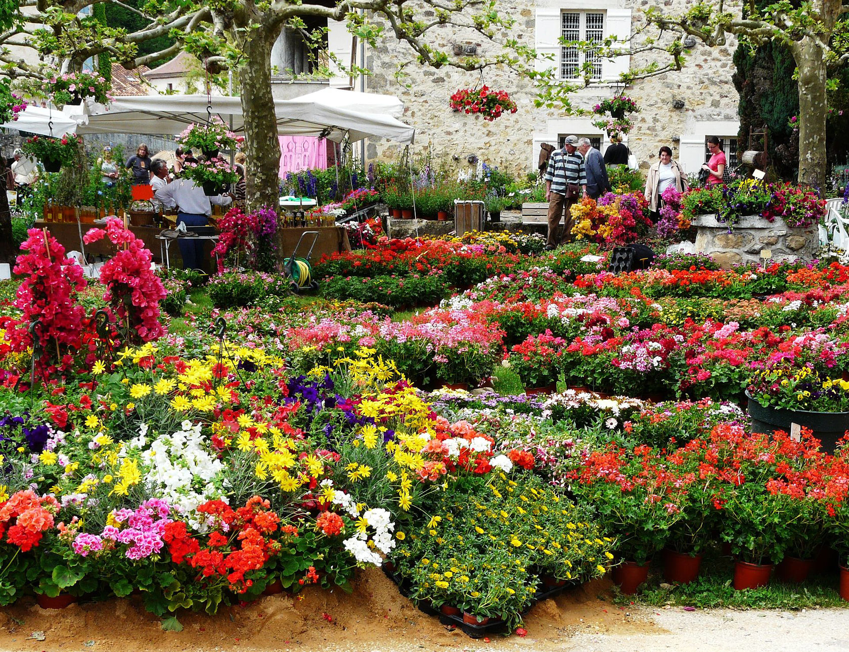 Saint-Jean-de-Côle