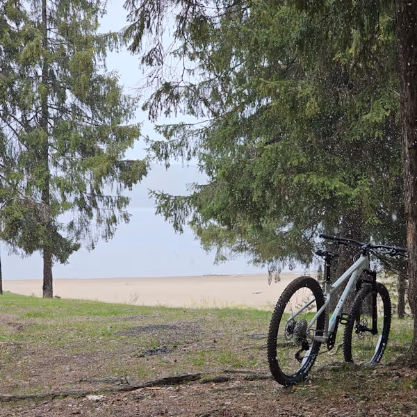 Hardtail bycile "Haro double peak 29' comp" in the forest looking the river