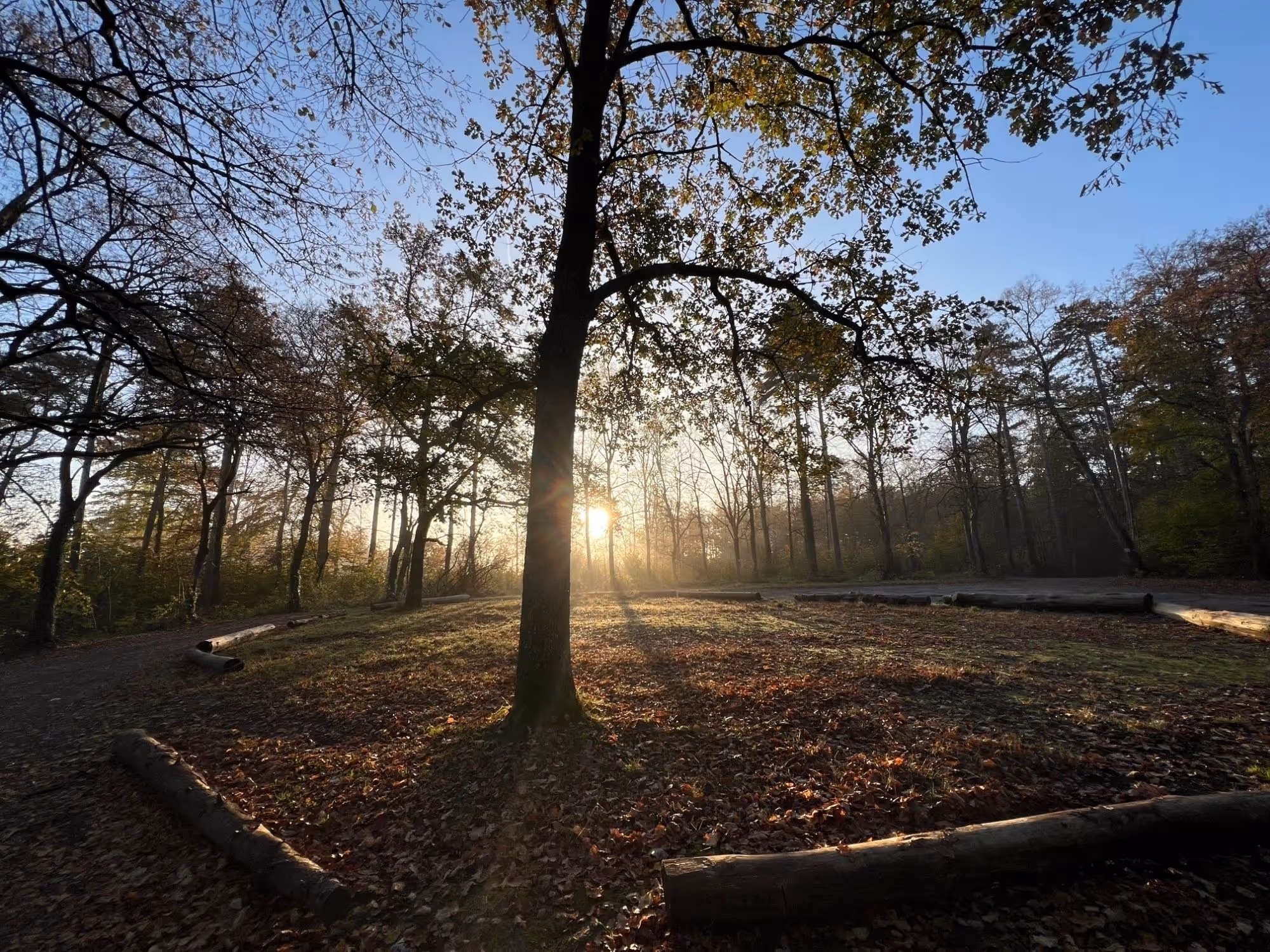 Nature