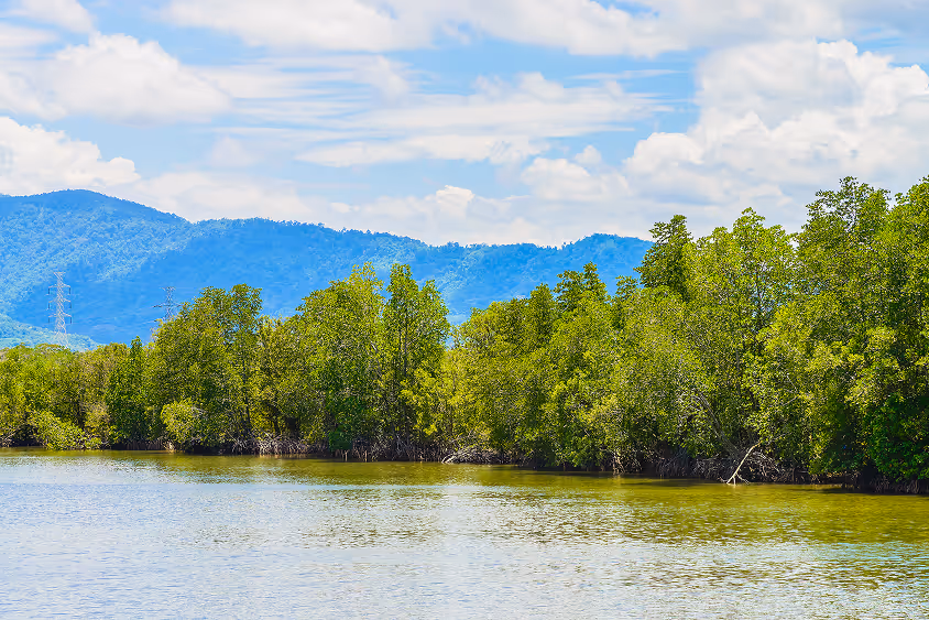 Certified carbon offsetting with Green Future Project