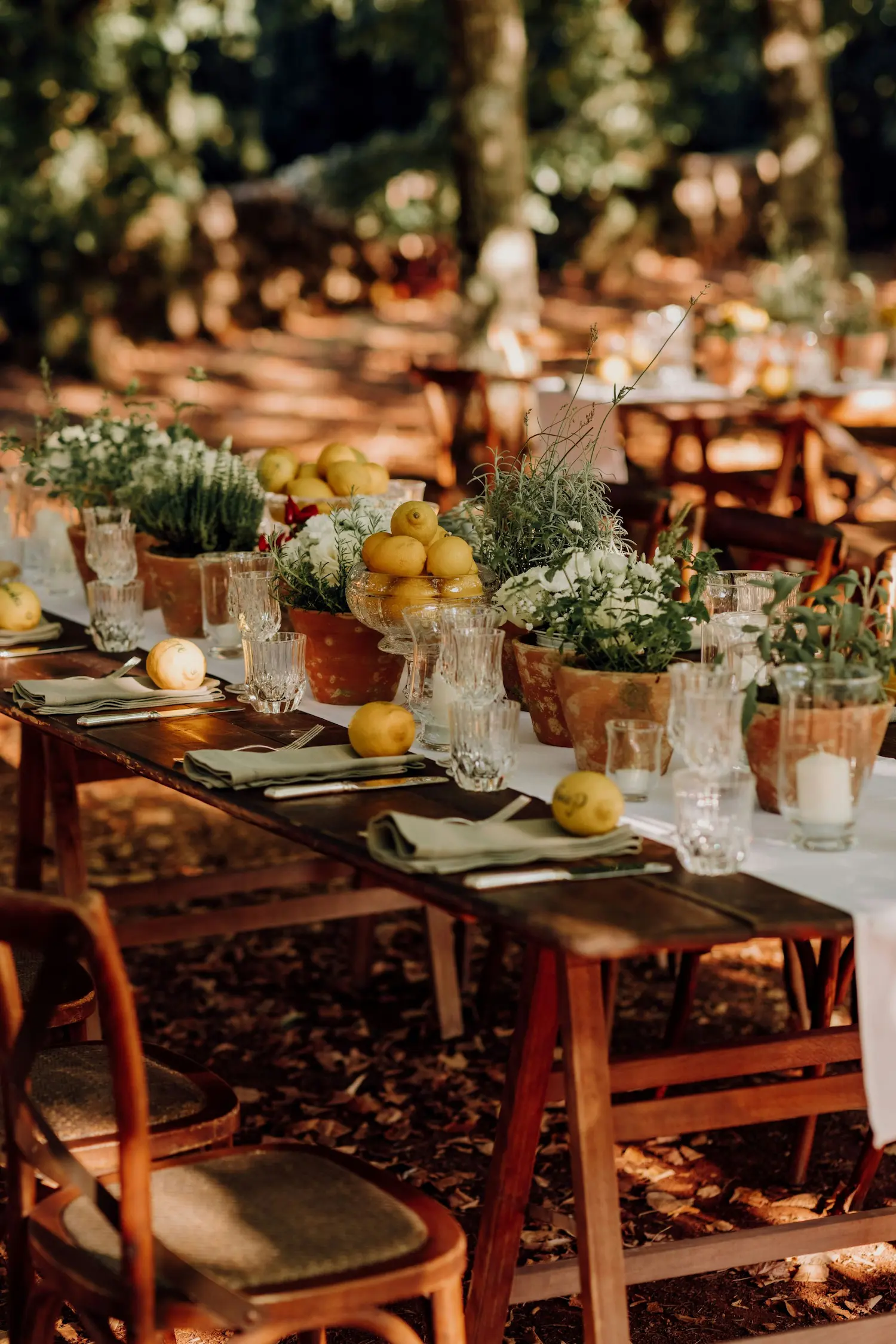 Un banquet intime dans un décor d'été en bois, avec une table soigneusement décorée de fruits frais et de plantes